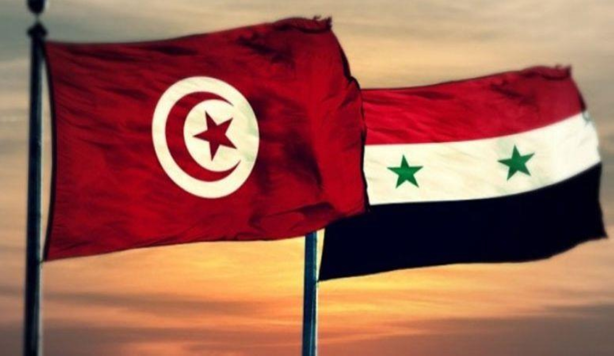 سوريا وتونس تتبادلان السفراء بعد عقد من الخلاف