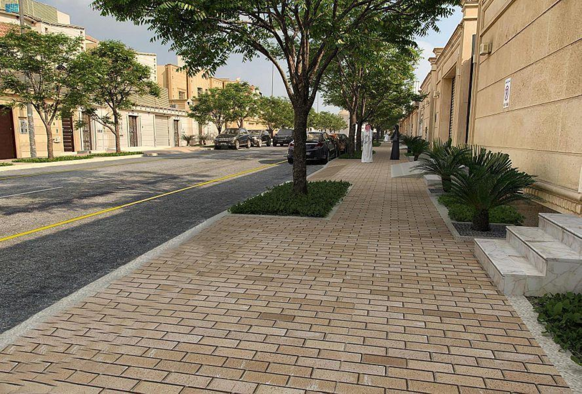 "التحول الوطني" في 5 سنوات.. زراعة 12 مليون شجرة و35% زيادة في المياه المحلاة