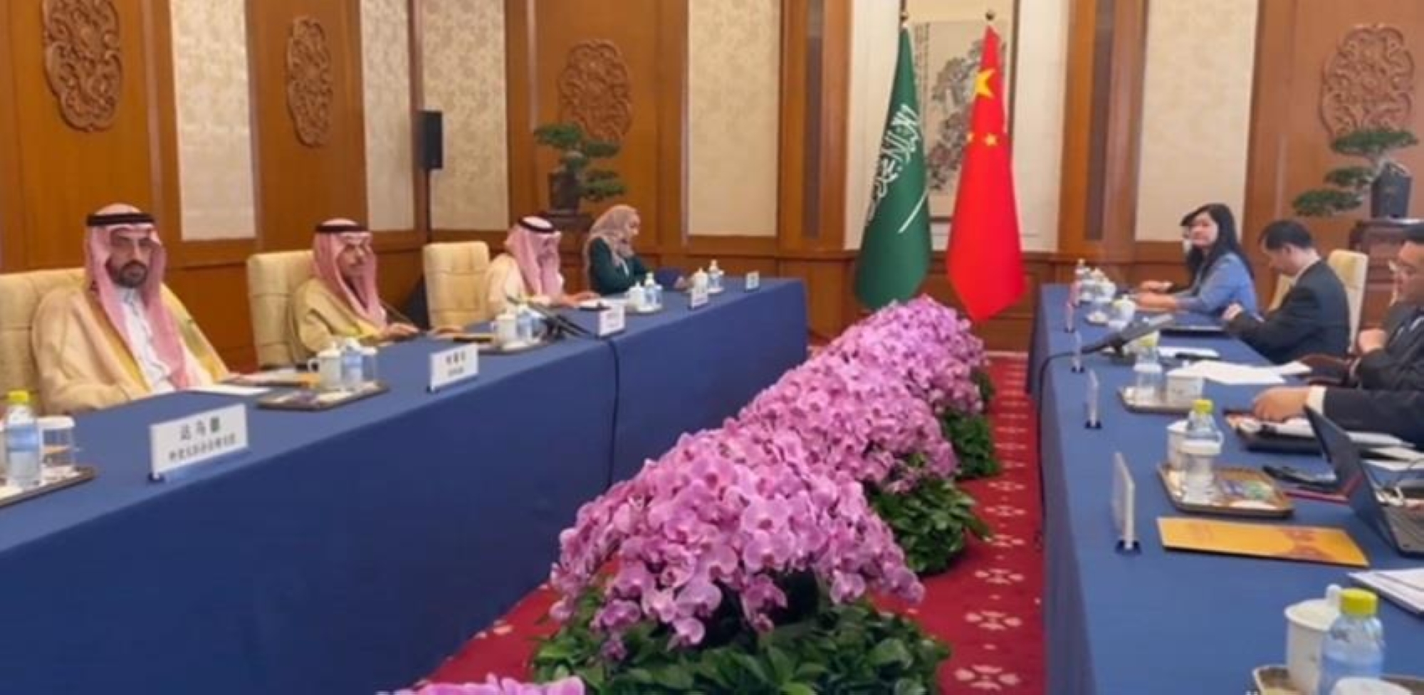 وزير الخارجية يجتمع بنظيره الصيني في بكين