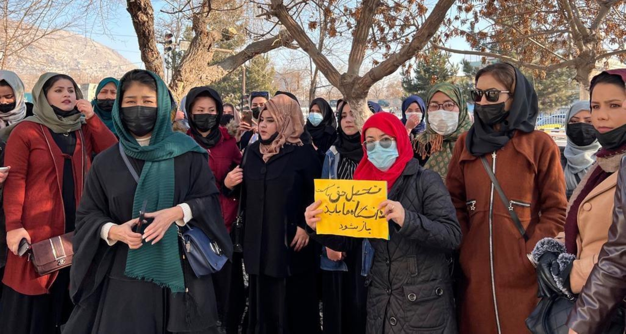 "طالبان" تحظر عمل النساء في الأمم المتحدة والمنظمات غير الحكومية