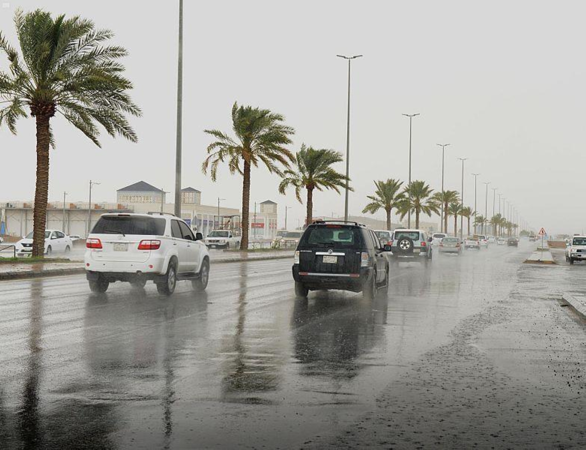تعليق الدراسة الحضورية غداً بالمدارس والجامعات في بعض المناطق