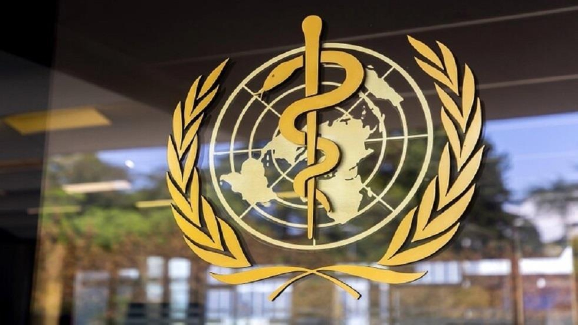 "الصحة العالمية": العقم يصيب واحداً من كل 6 أشخاص