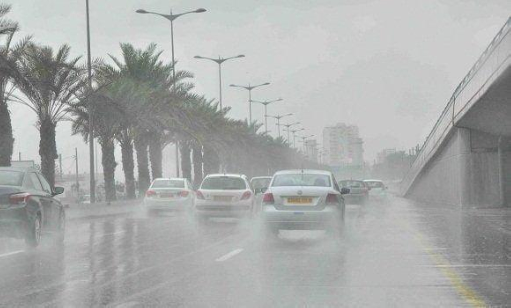 "الأرصاد" تحذر من عواصف رعدية وأمطار بعدة مناطق حتى مساء الغد