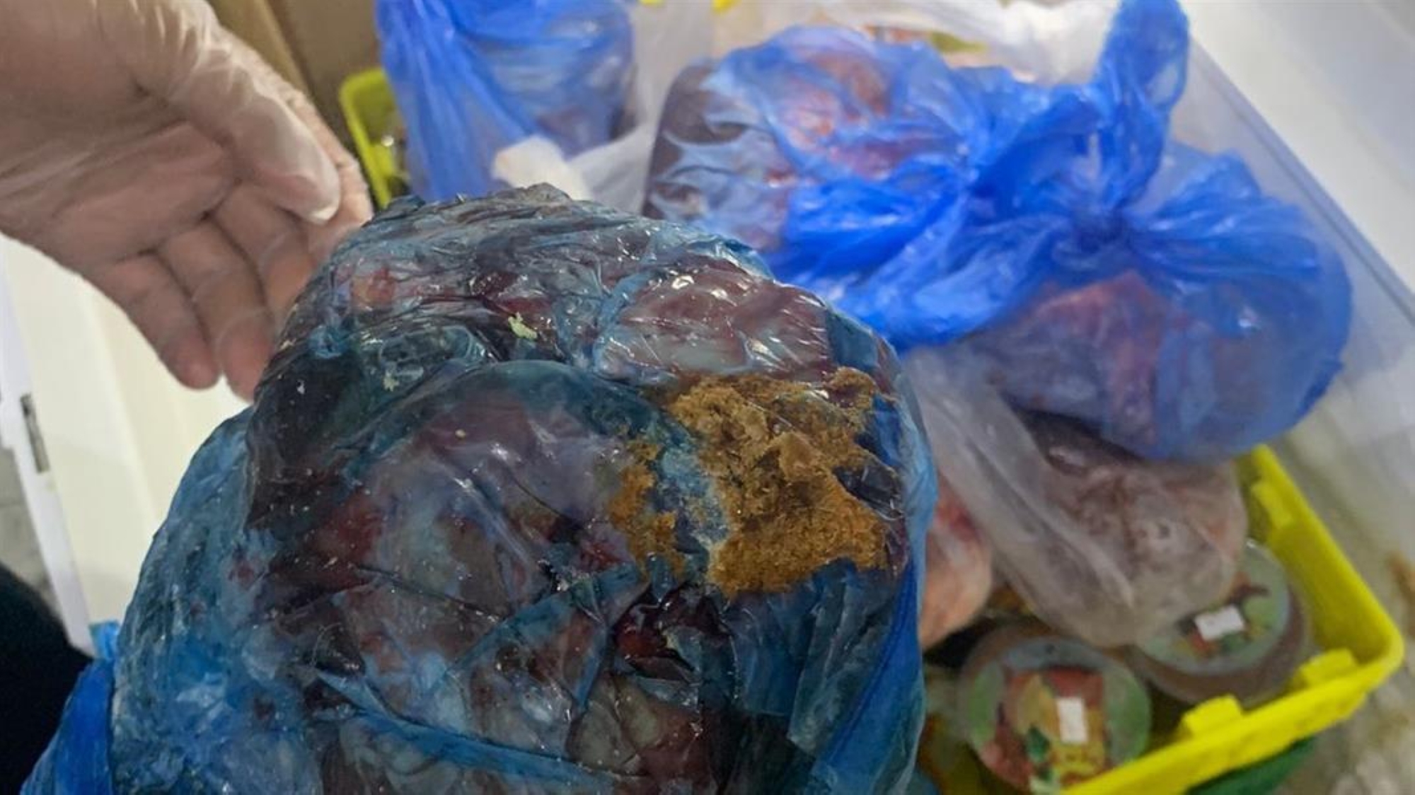 ضبط وإتلاف 93 كجم من اللحوم الفاسدة بحفر الباطن