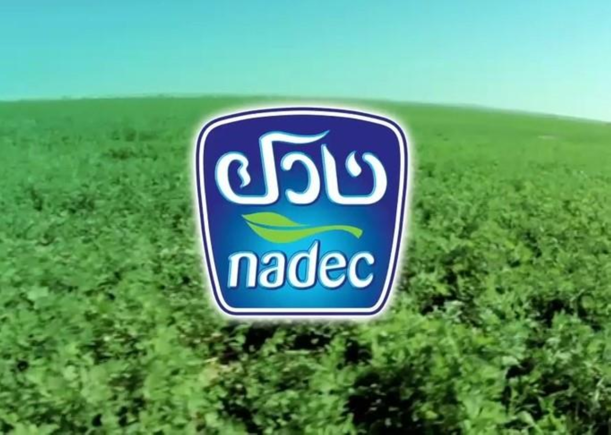 "نادك" تكشف عن ارتفاع أرباحها بنسبة 149.2% إلى 37.6 مليون ريال