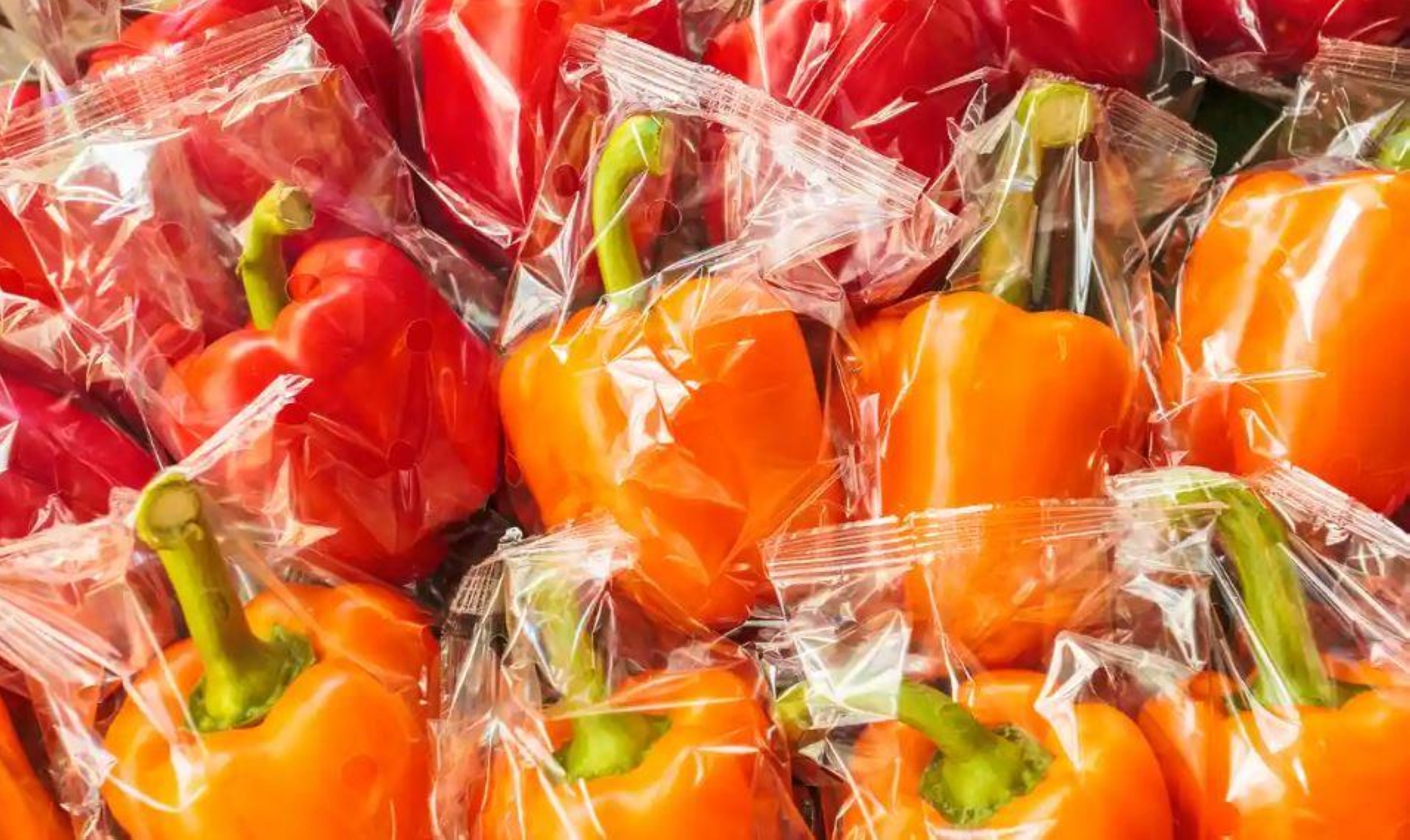 ناقلات للسموم.. دراسة تحذر من عبوات الطعام البلاستيكية المعاد تدويرها