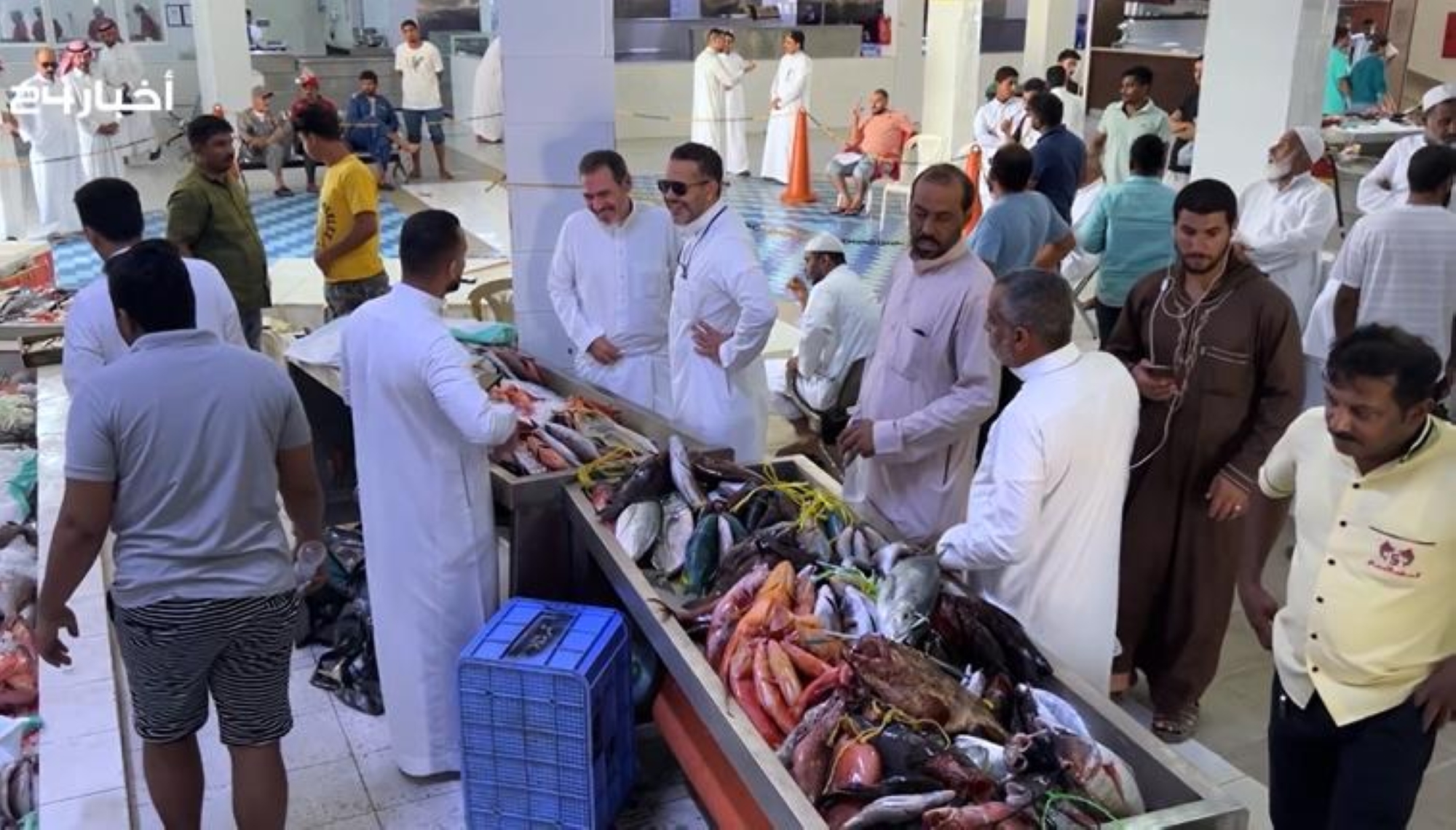 "حراج السمك" بثول.. "المزايدة" سيد البيع