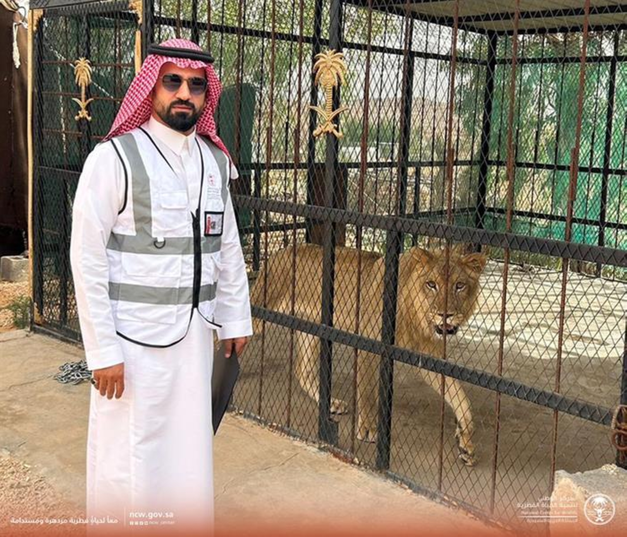 إحباط محاولة اقتناء أسد وذئاب