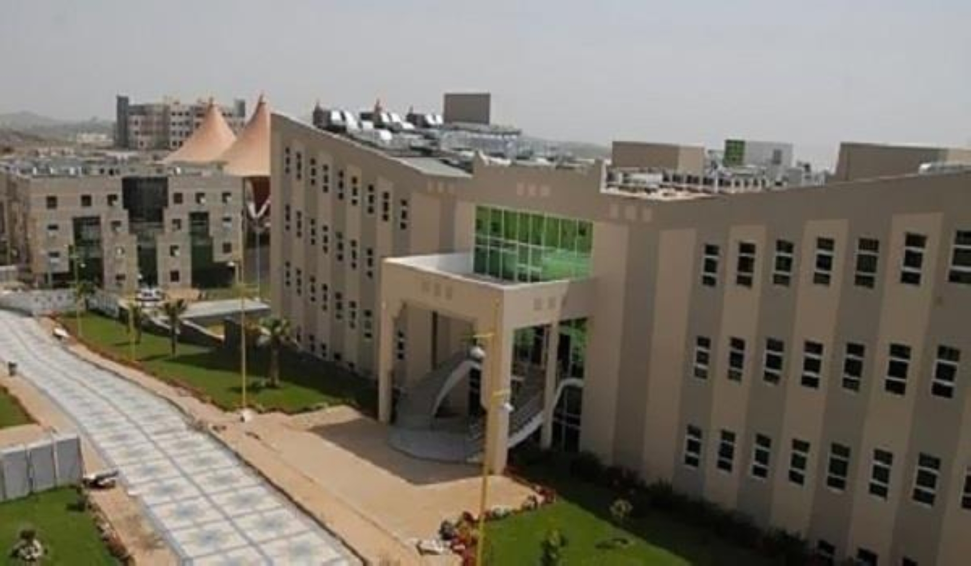 جامعة جدة تشارك بـ"الحج" بخدمات تطوعية