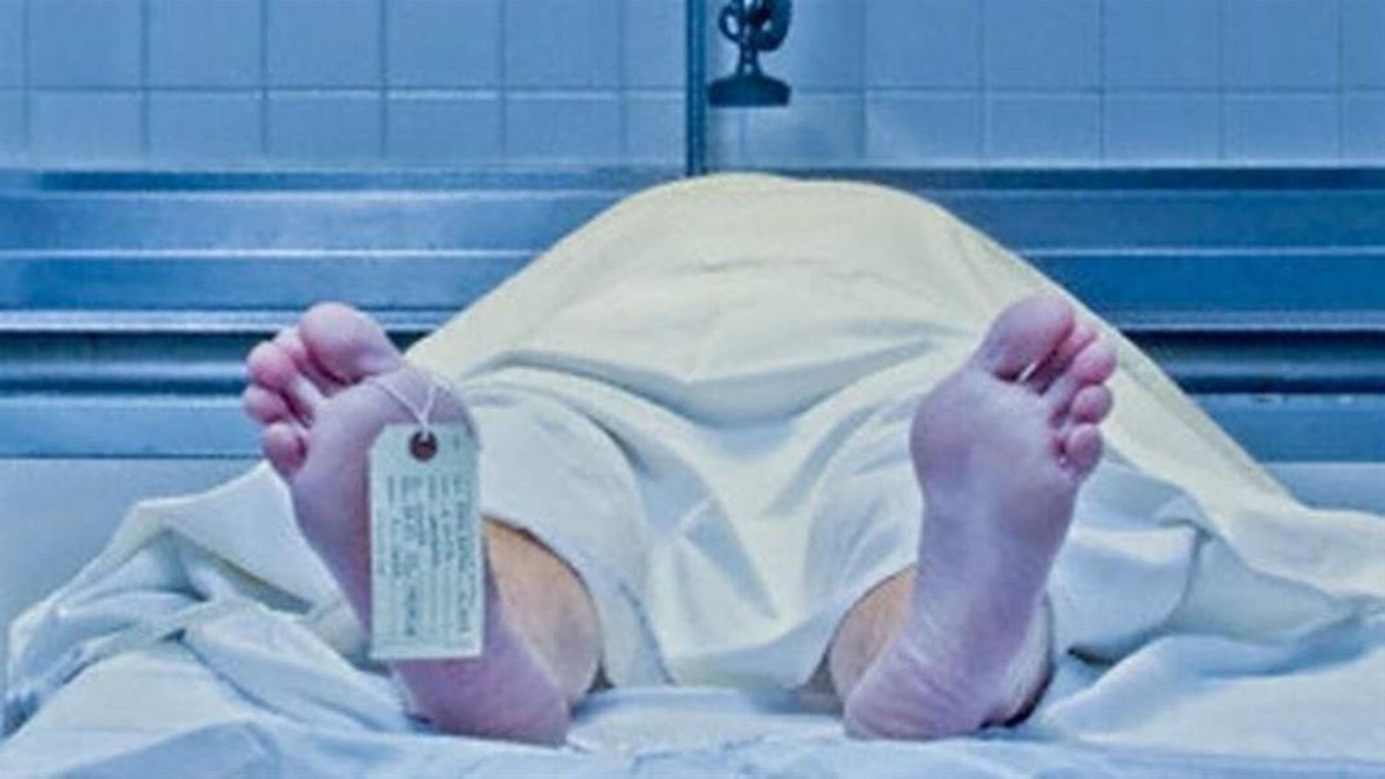 توجيه تهمة الاتجار بأعضاء بشرية إلى مدير مشرحة كلية الطب بجامعة هارفرد