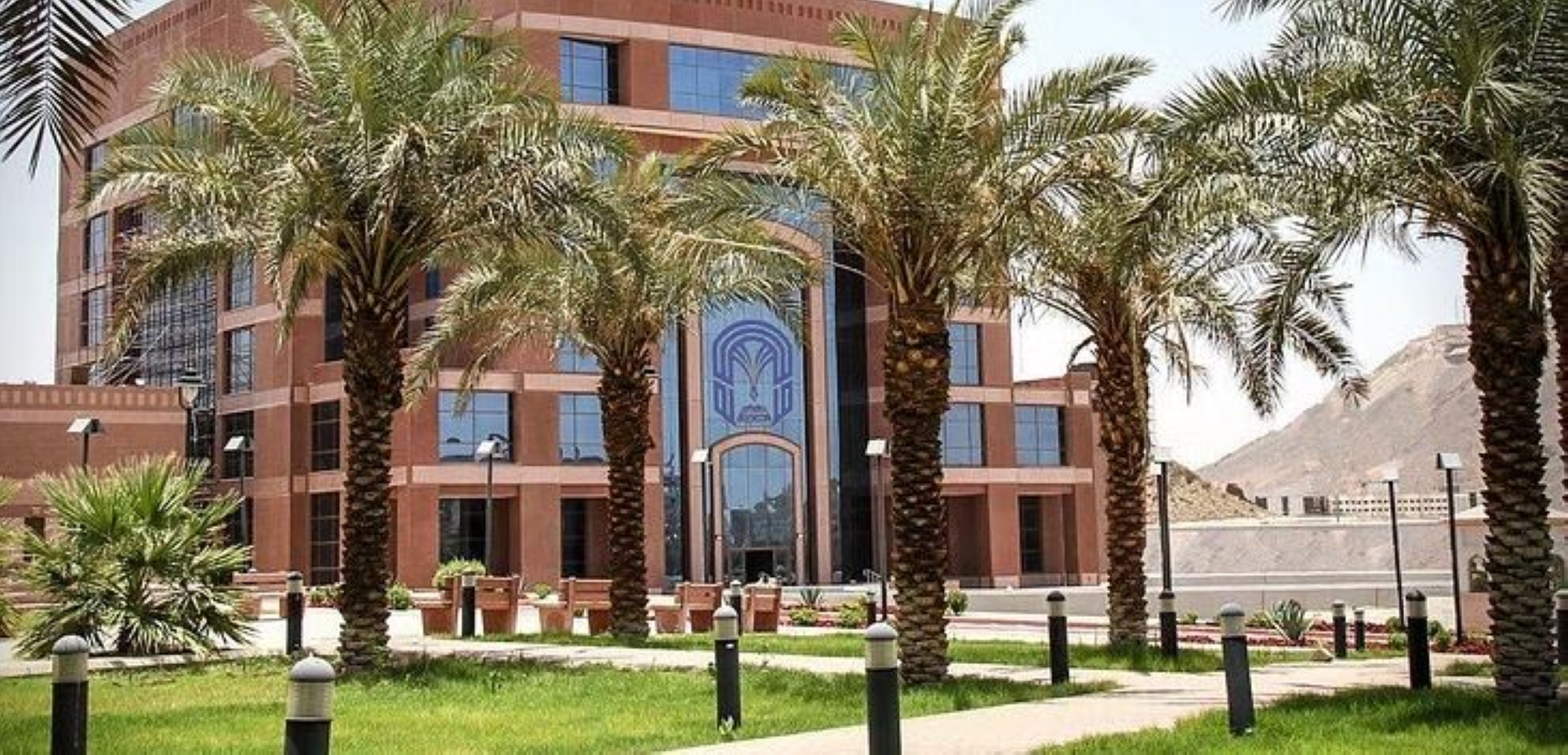 دراسة سعودية تبشر المواليد مصابي "السكري"