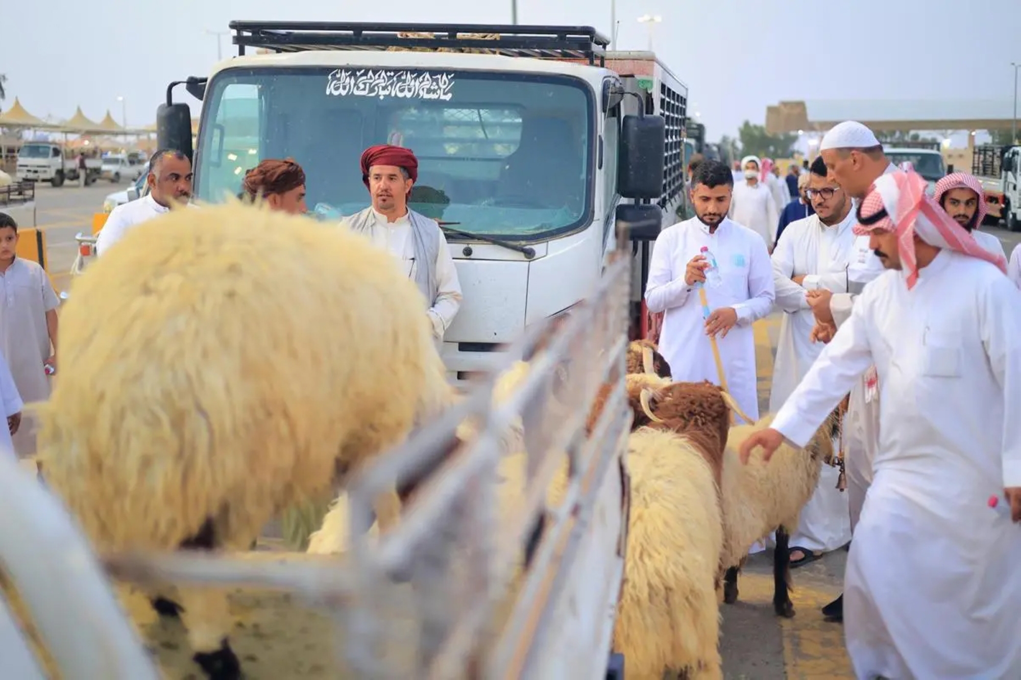 10 مواقع لبيع الأضاحي بالرياض