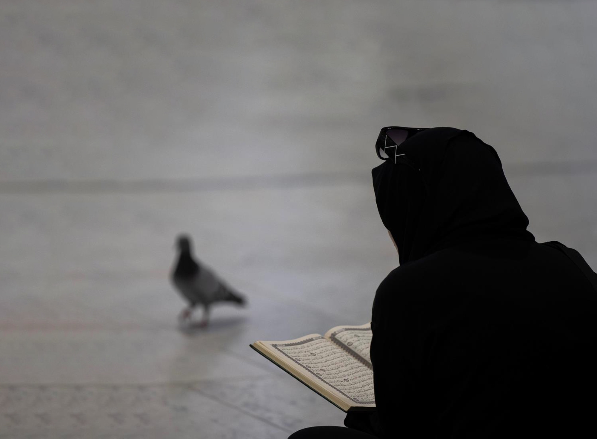 "بسلامٍ.. آمنين"