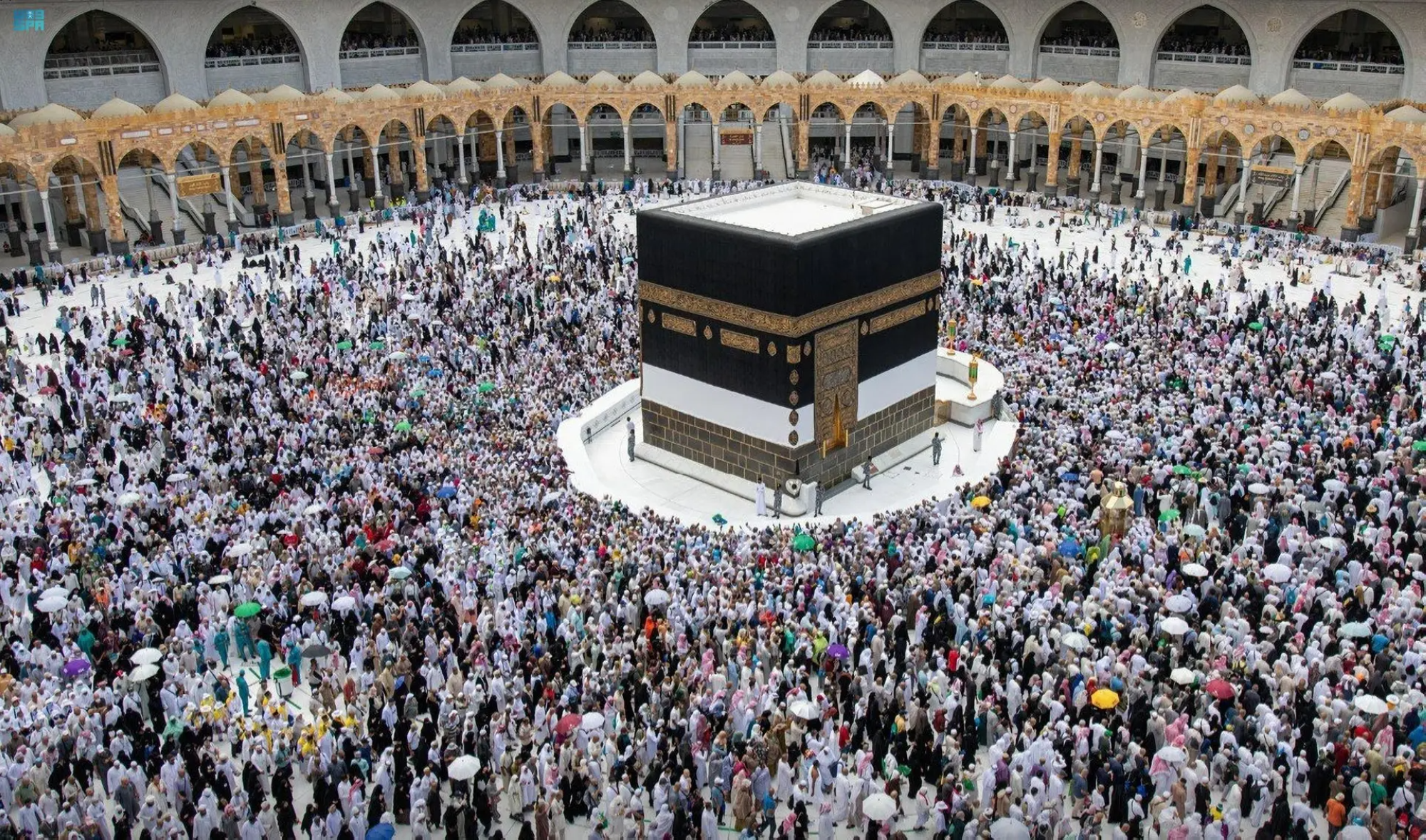 تفويج 50٪ من حجاج الداخل لطواف الوداع
