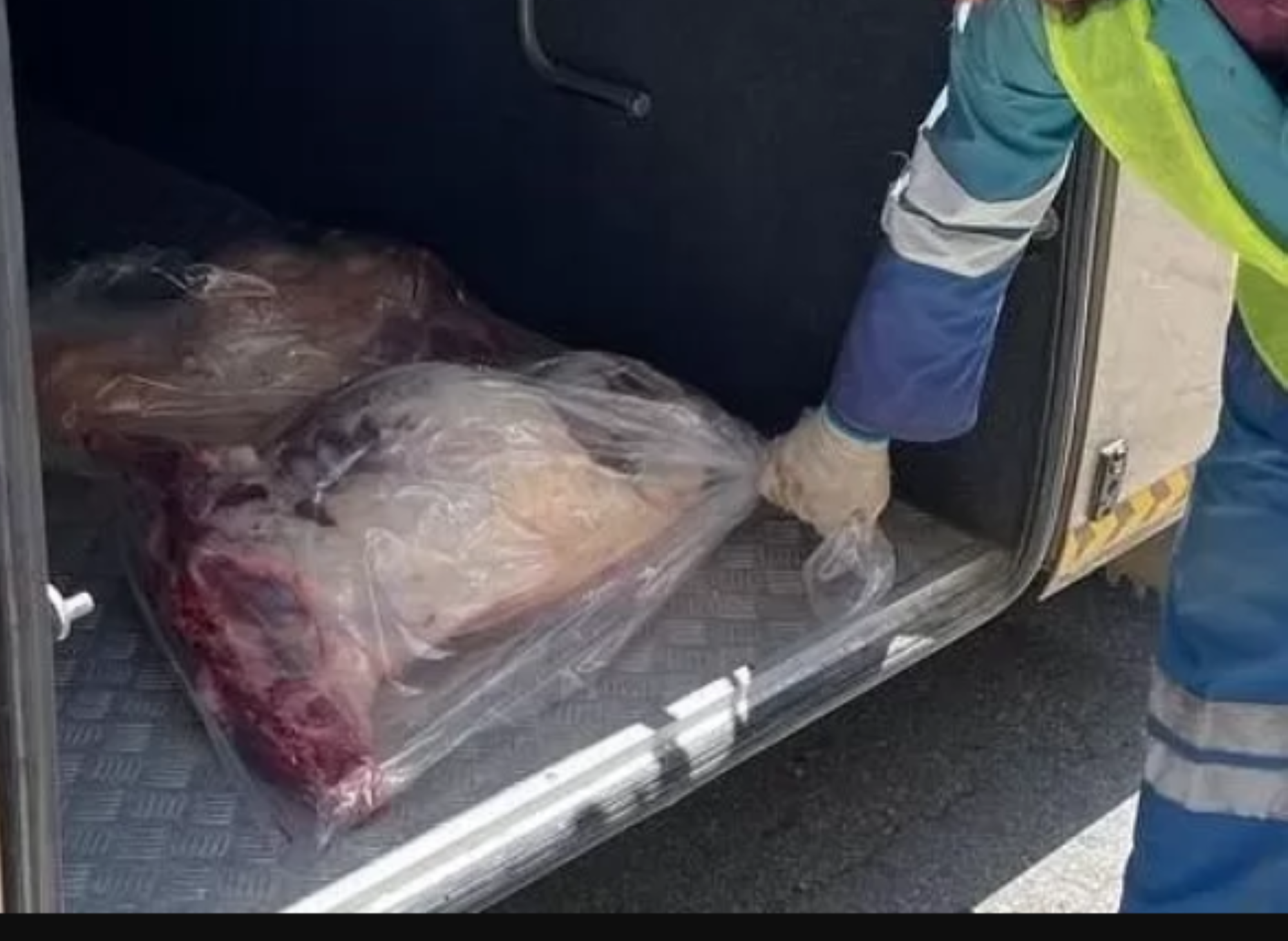 إحباط تهريب 572 ذبيحة من الأضاحي بجدة