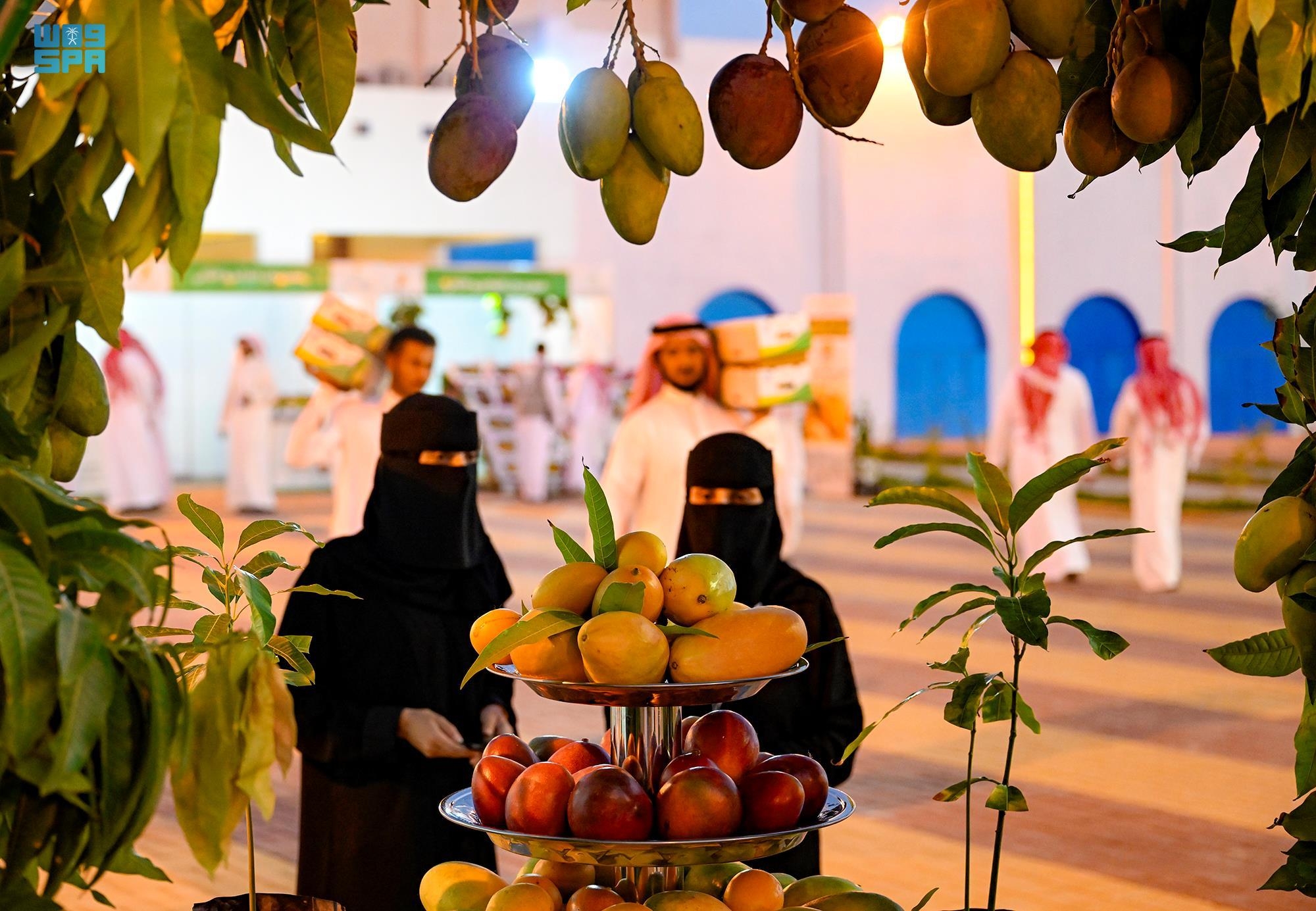 مهرجان لـ"المانجو" في أملج