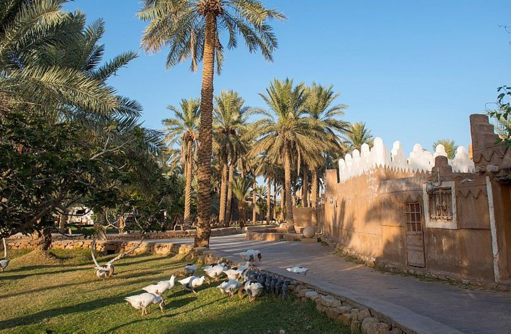تعاون لتمويل "المزارع الريفية"