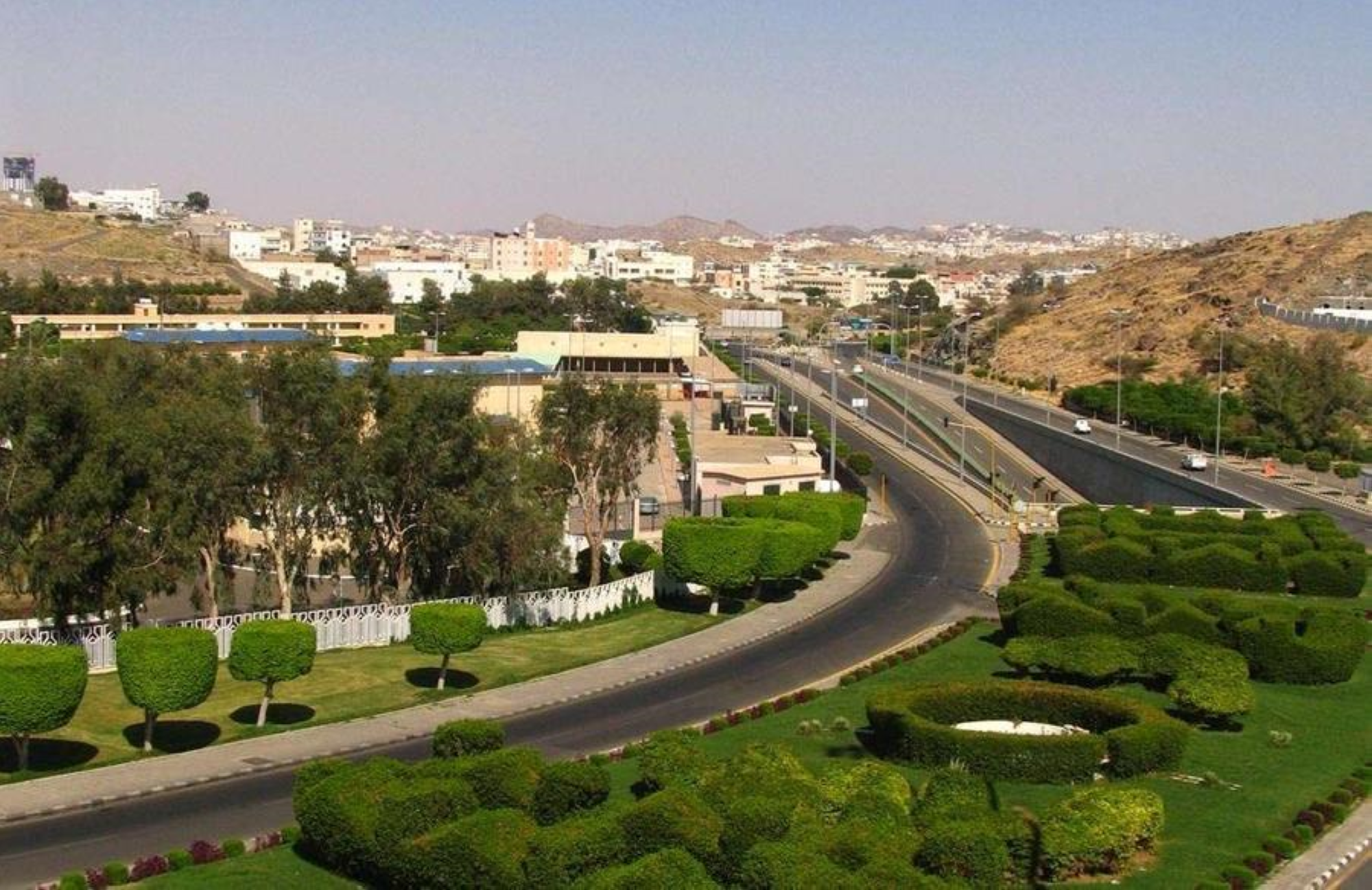 طرح 10 فرص استثمارية في الطائف