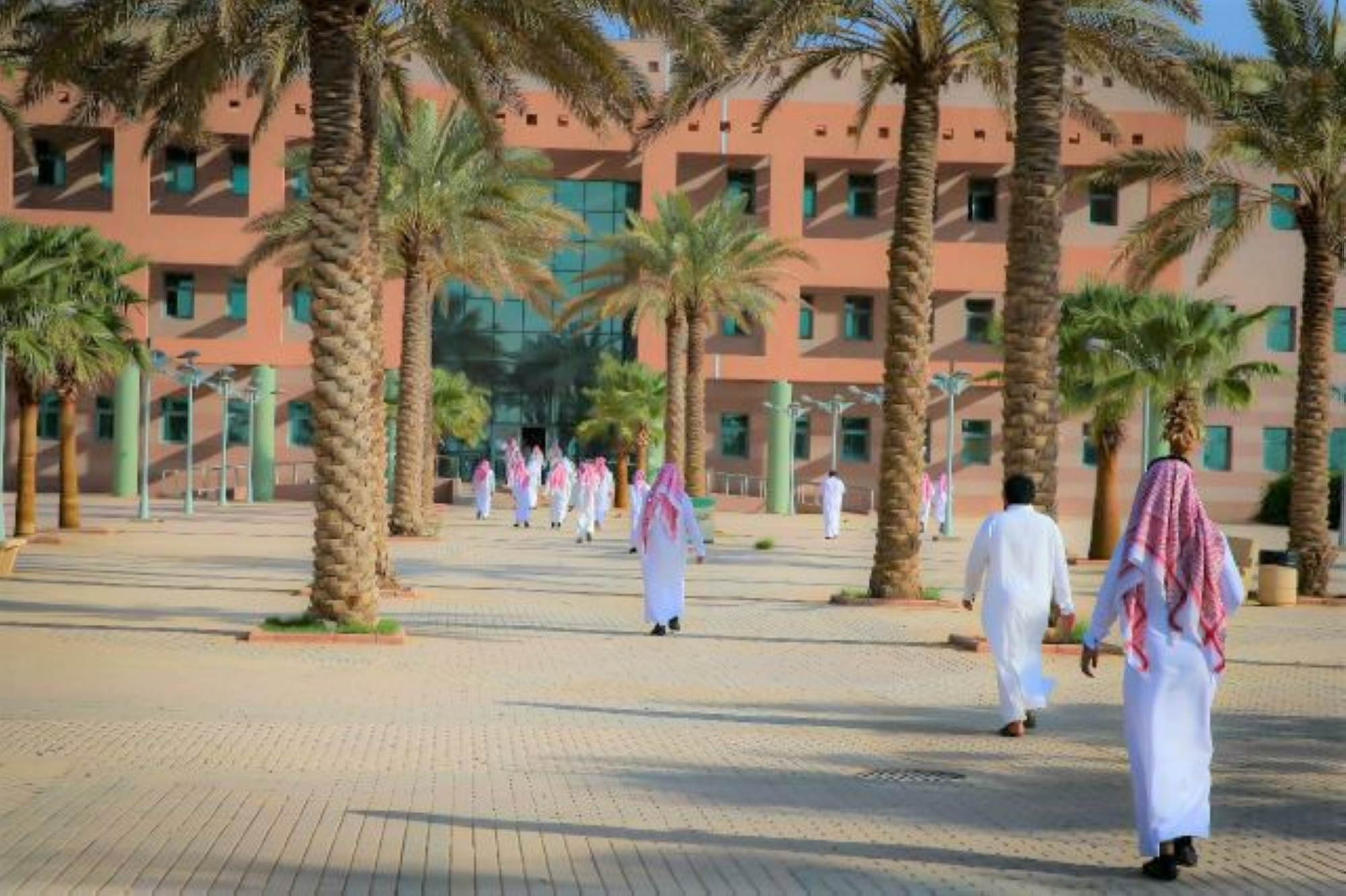 جامعة الجوف تعلن حاجتها لمتعاونين بعدة تخصصات