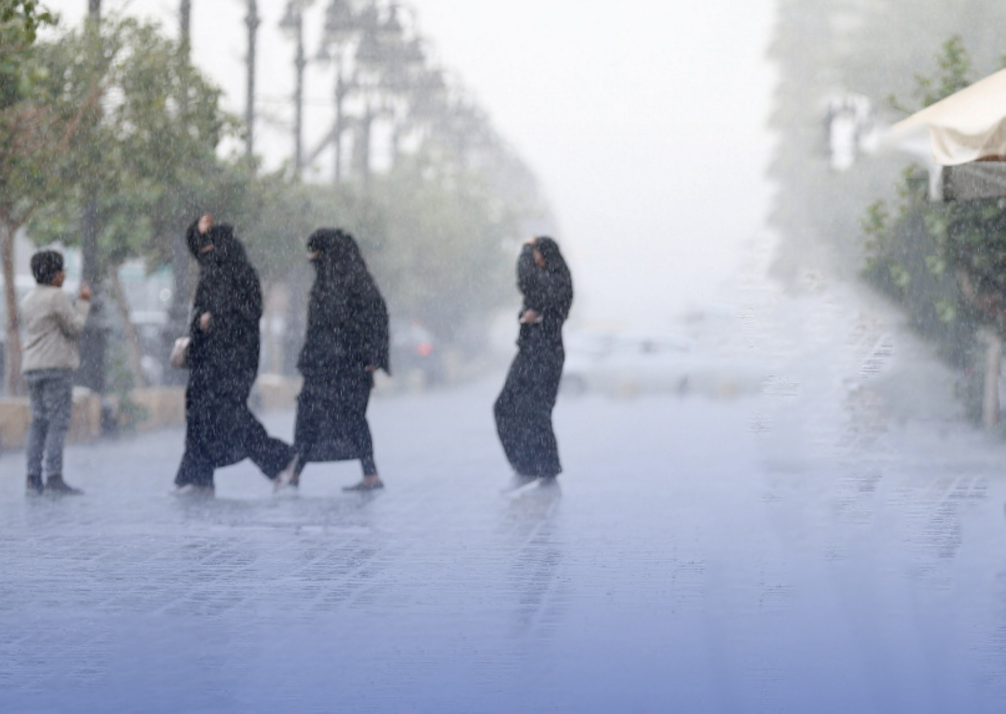 سياحة "الأمطار" في عسير