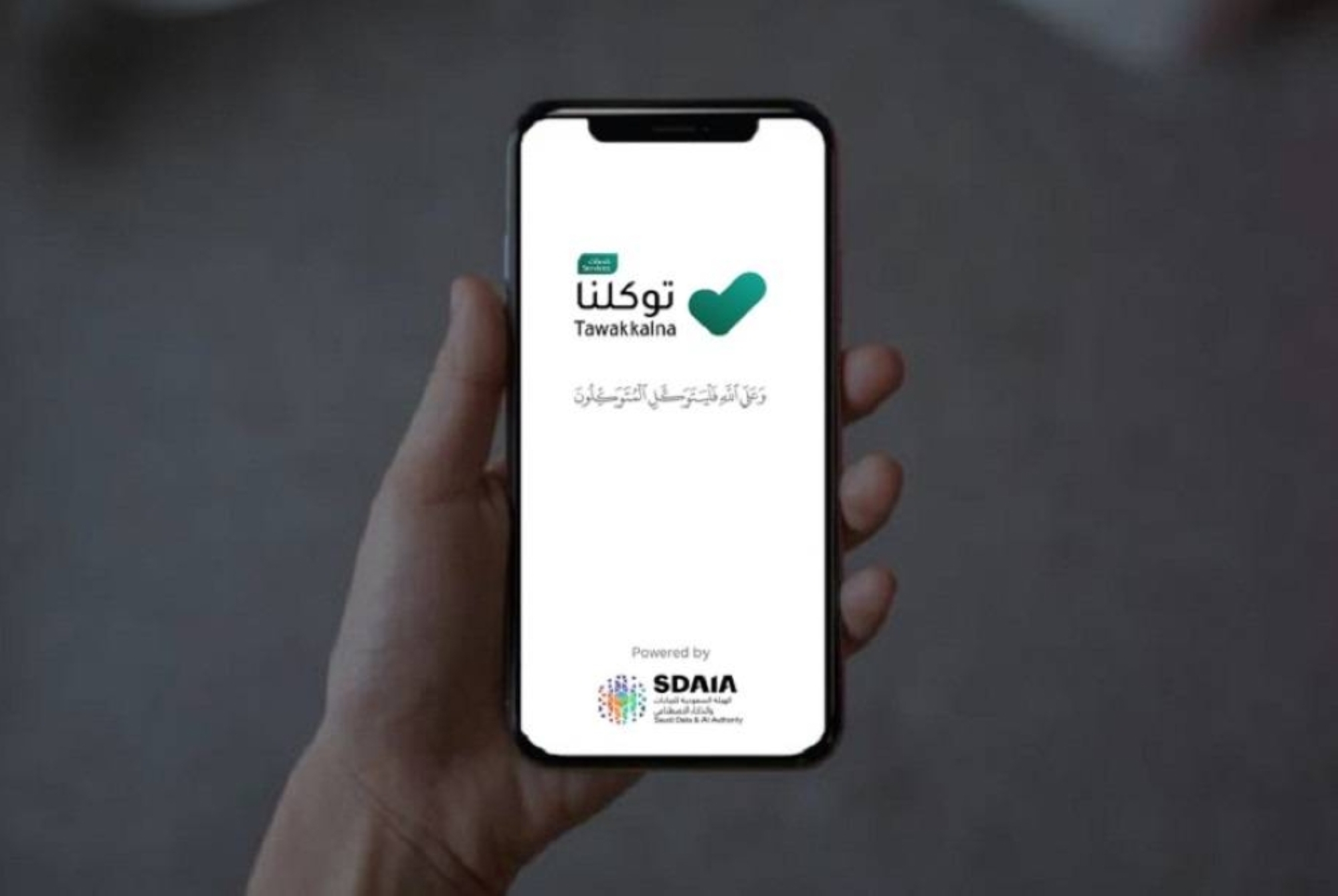 "البلاغات" الإعلامية بـ"توكلنا"
