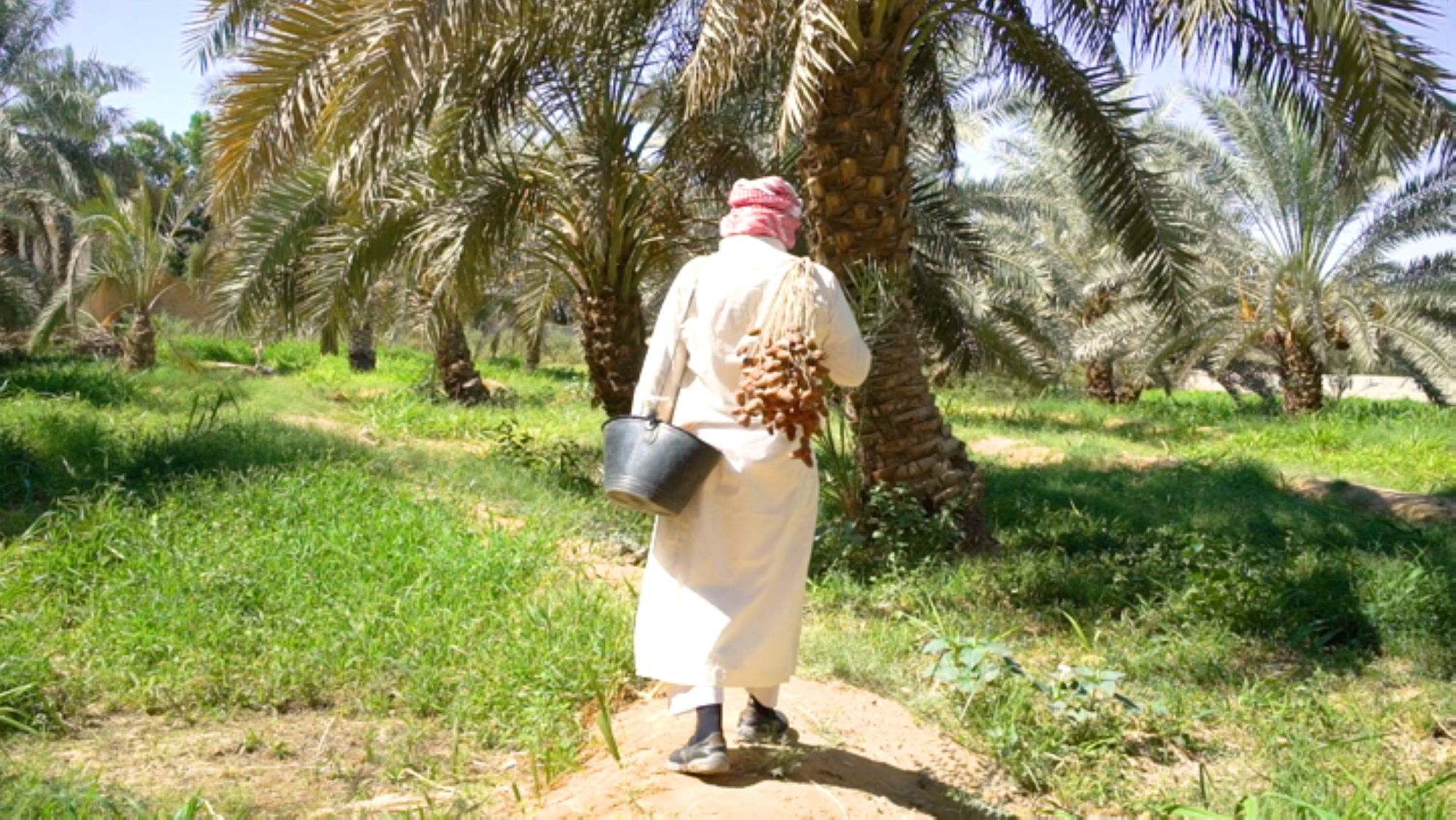 إطلاق منتج تمويل المزارع الريفية