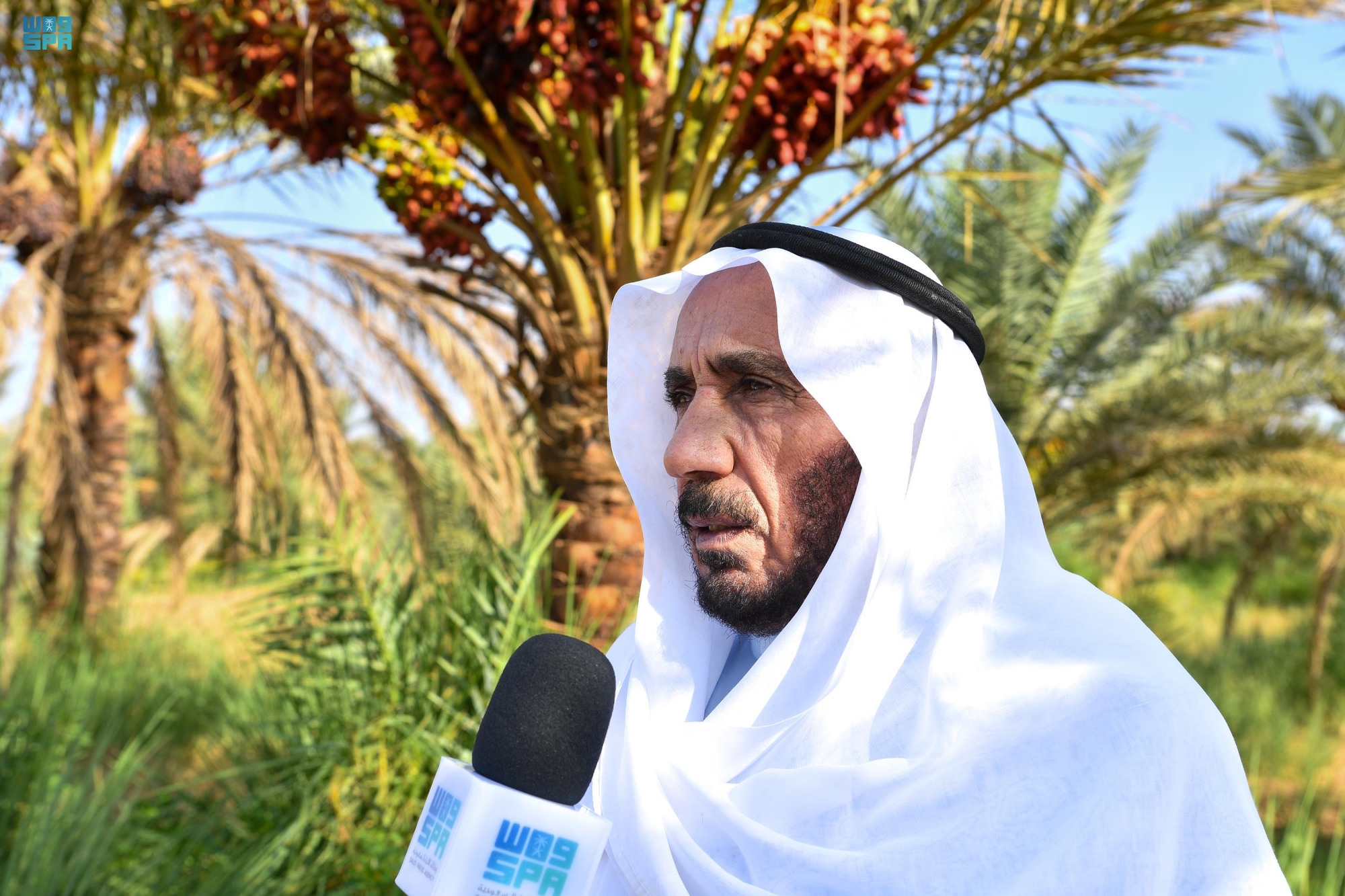 "تيماوي" ينتج 60 طن أسماك "سنوياً"