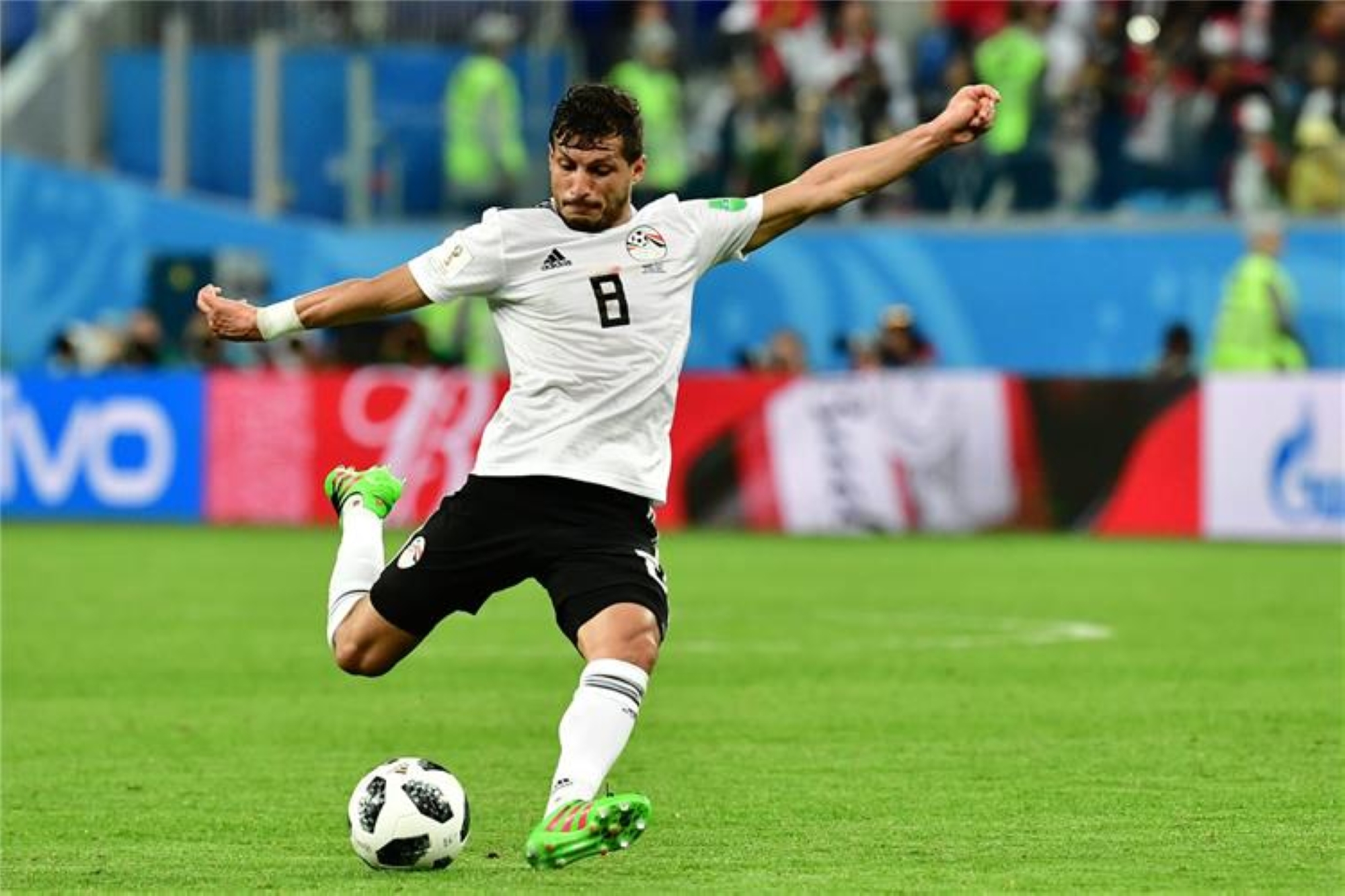 طارق حامد يقود مصر أمام تونس