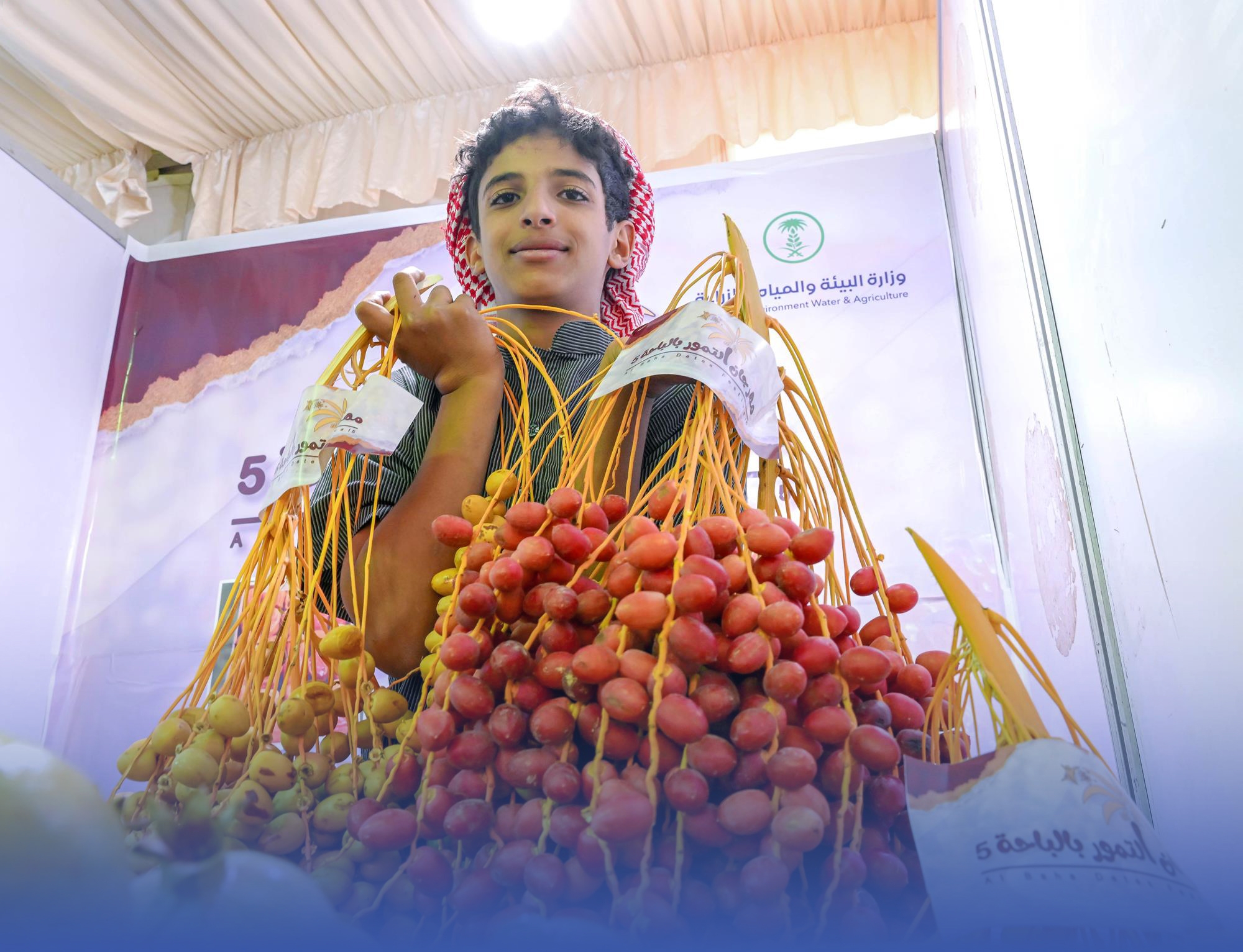 مهرجان التمور بعقيق الباحة الثلاثاء المقبل