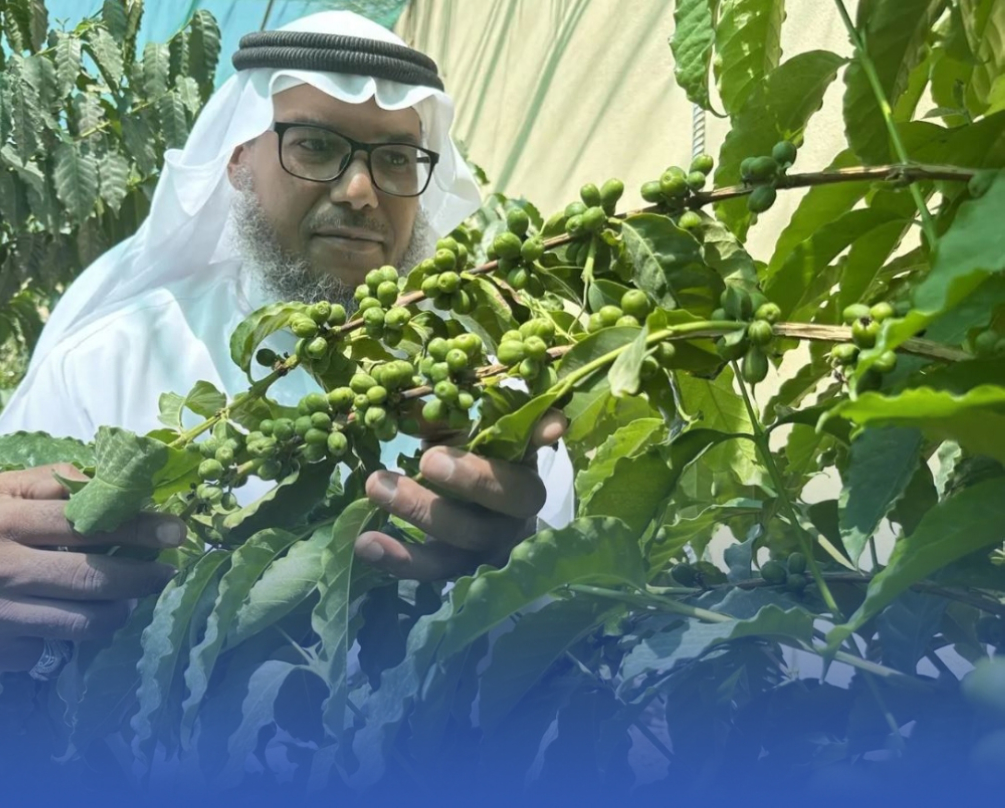3 تجارب زراعية مبتكرة بجازان