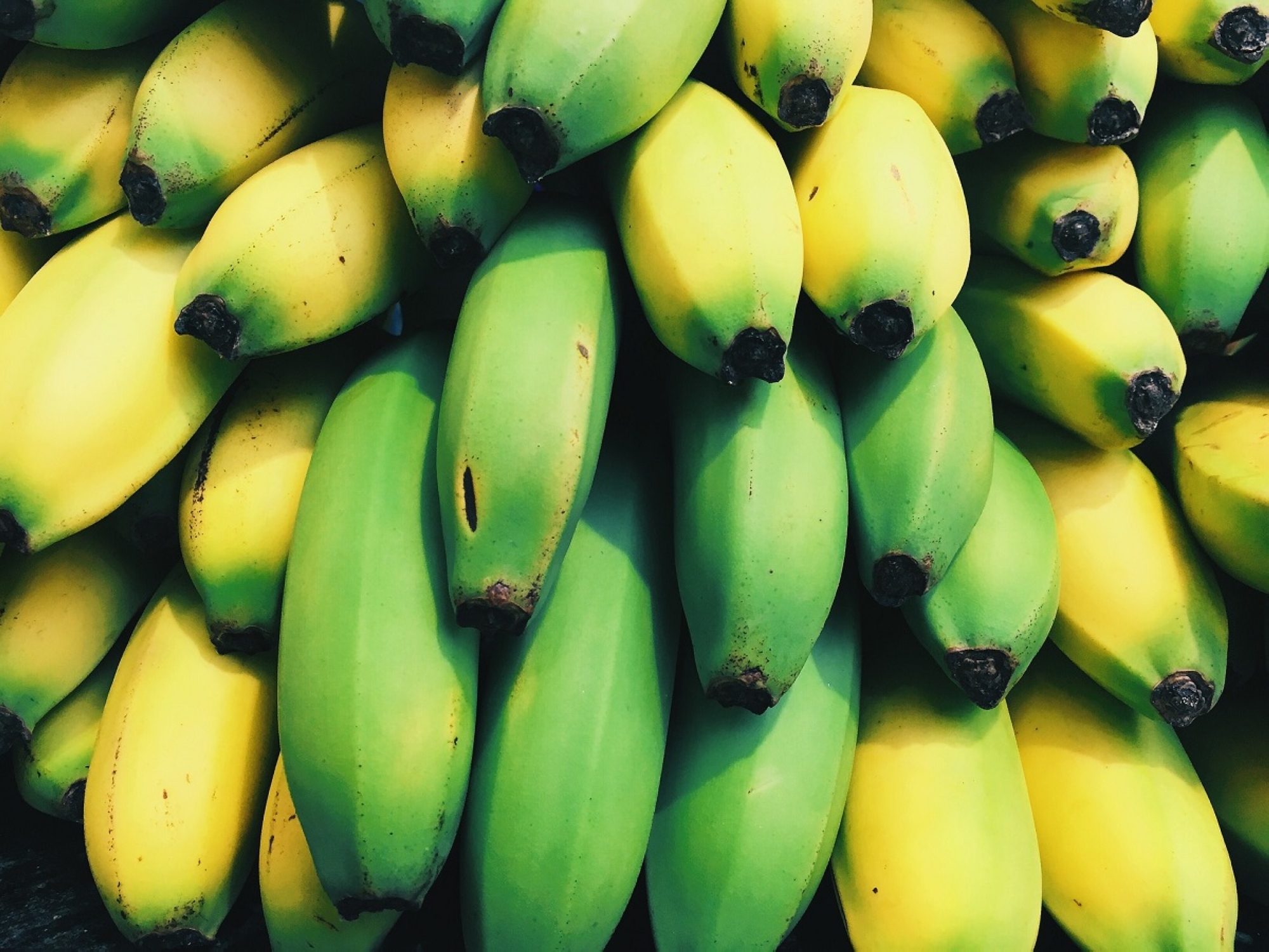 الموز الأخضر يمنع سرطان القولون