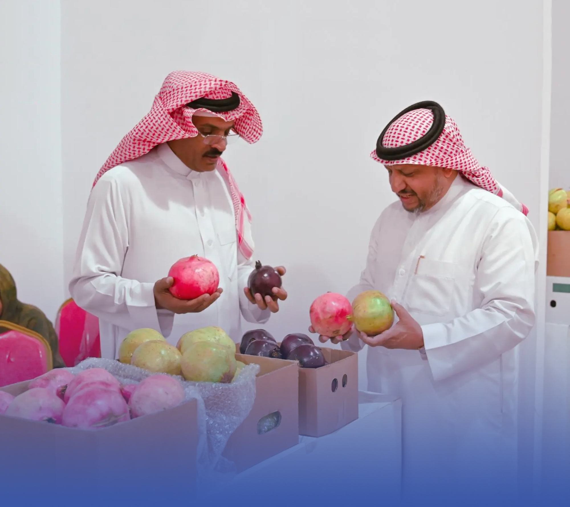 مهرجان "الرمان" يُنعش الباحة