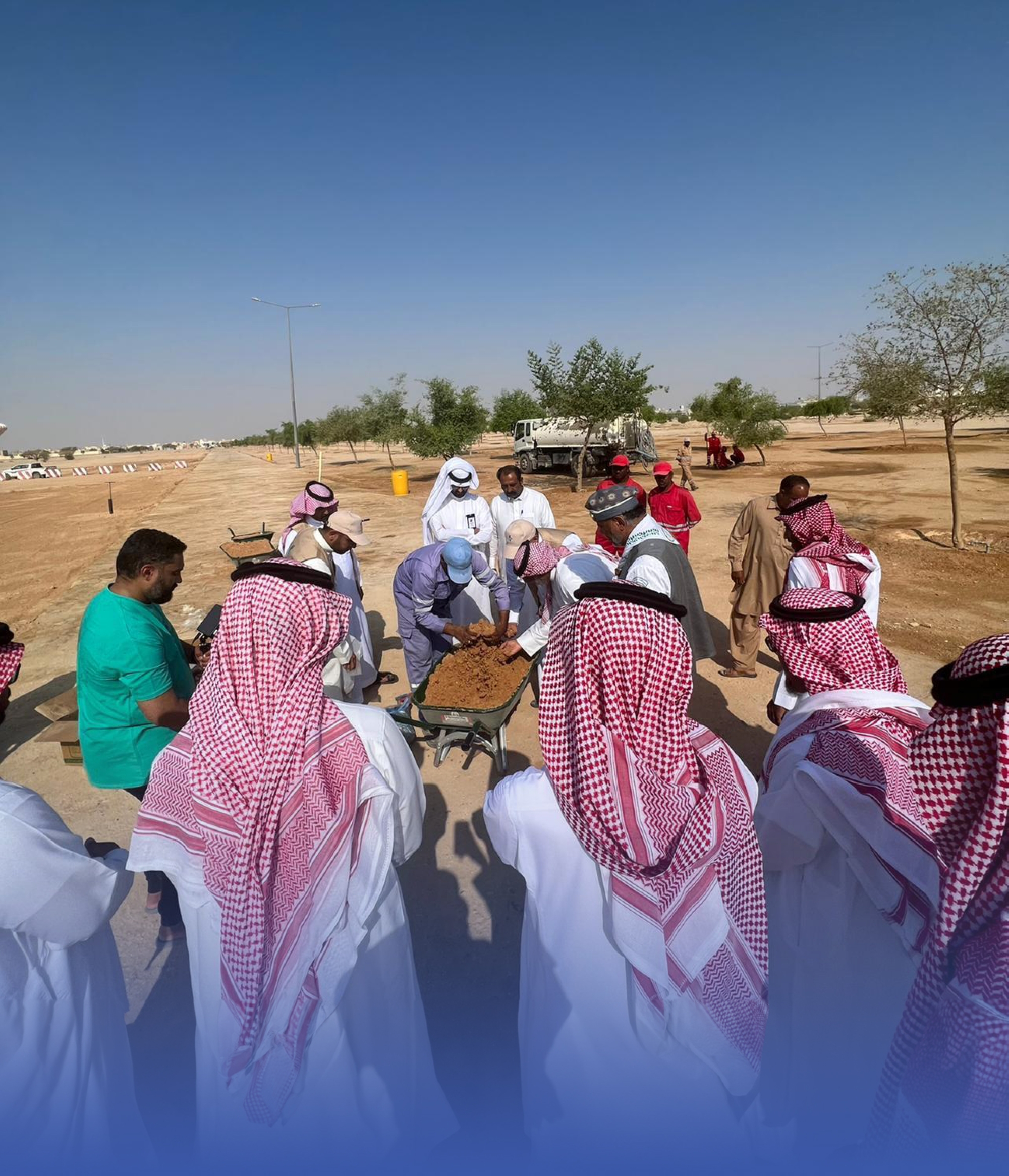 الأفلاج.. "إعادة توطين" النباتات البرية