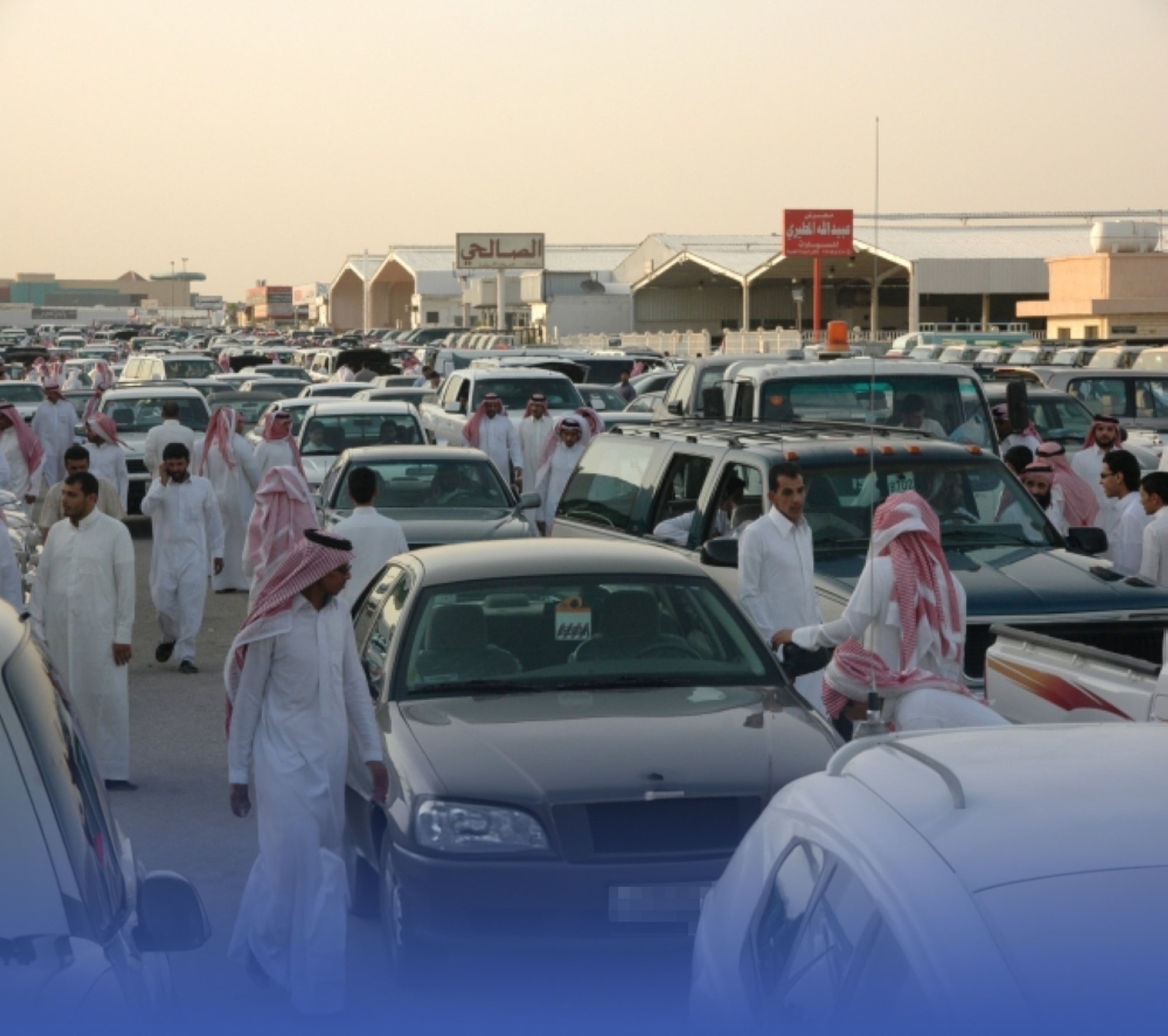 "شريطية" السيارات للمُشترين: "الفحص بيننا"