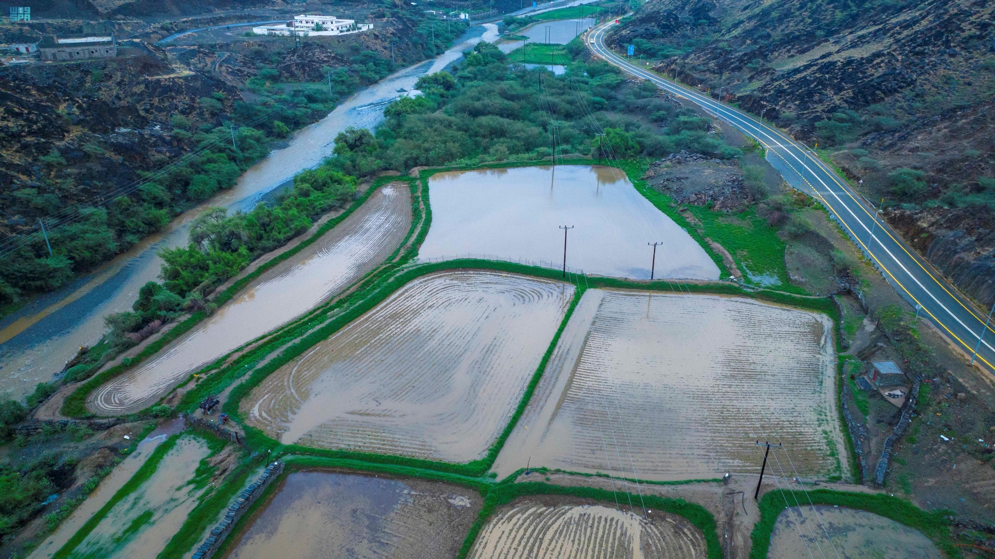 "عرس الماء"