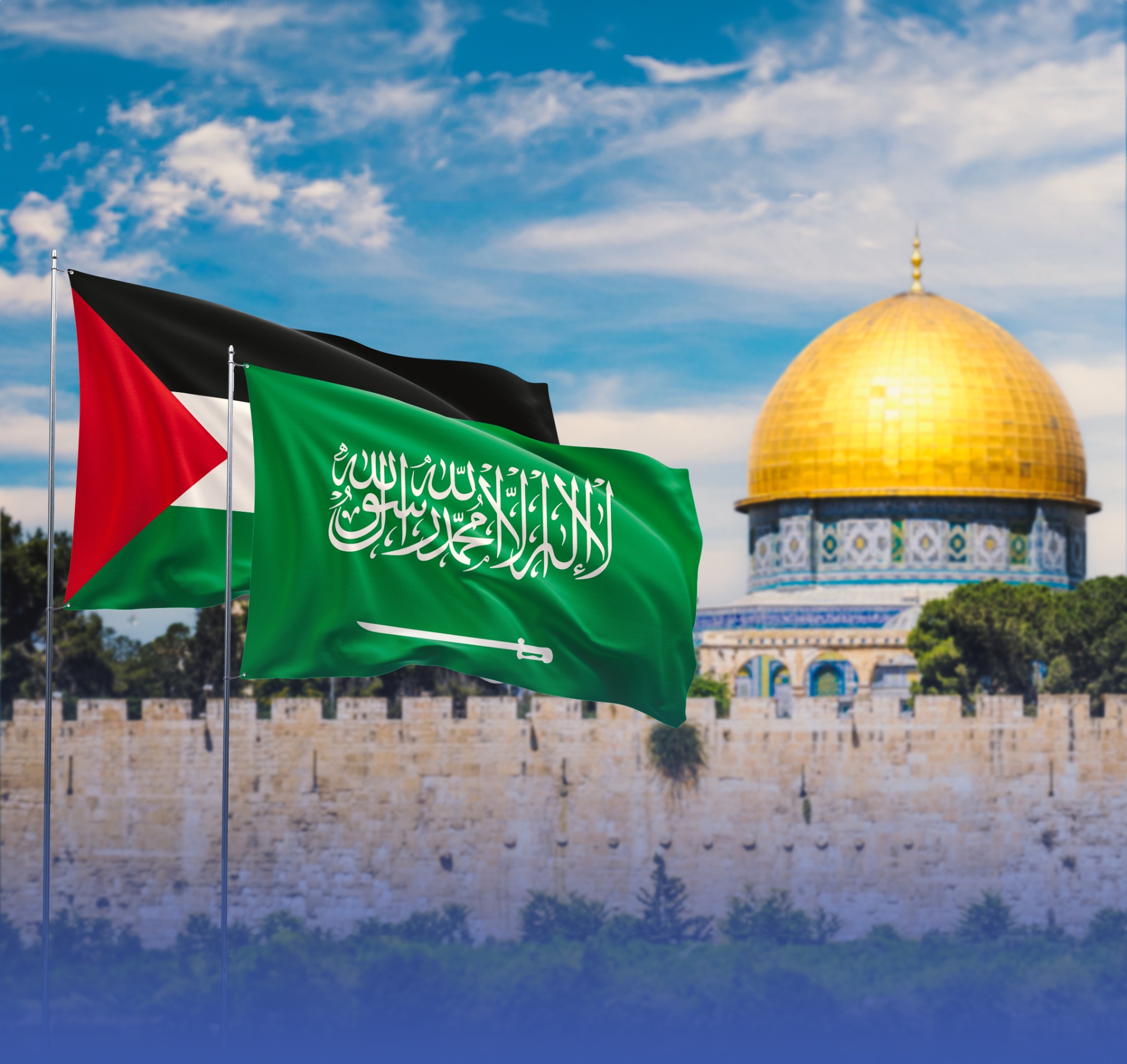 "المملكة" تواجه التضليل ضدّ "فلسطين"