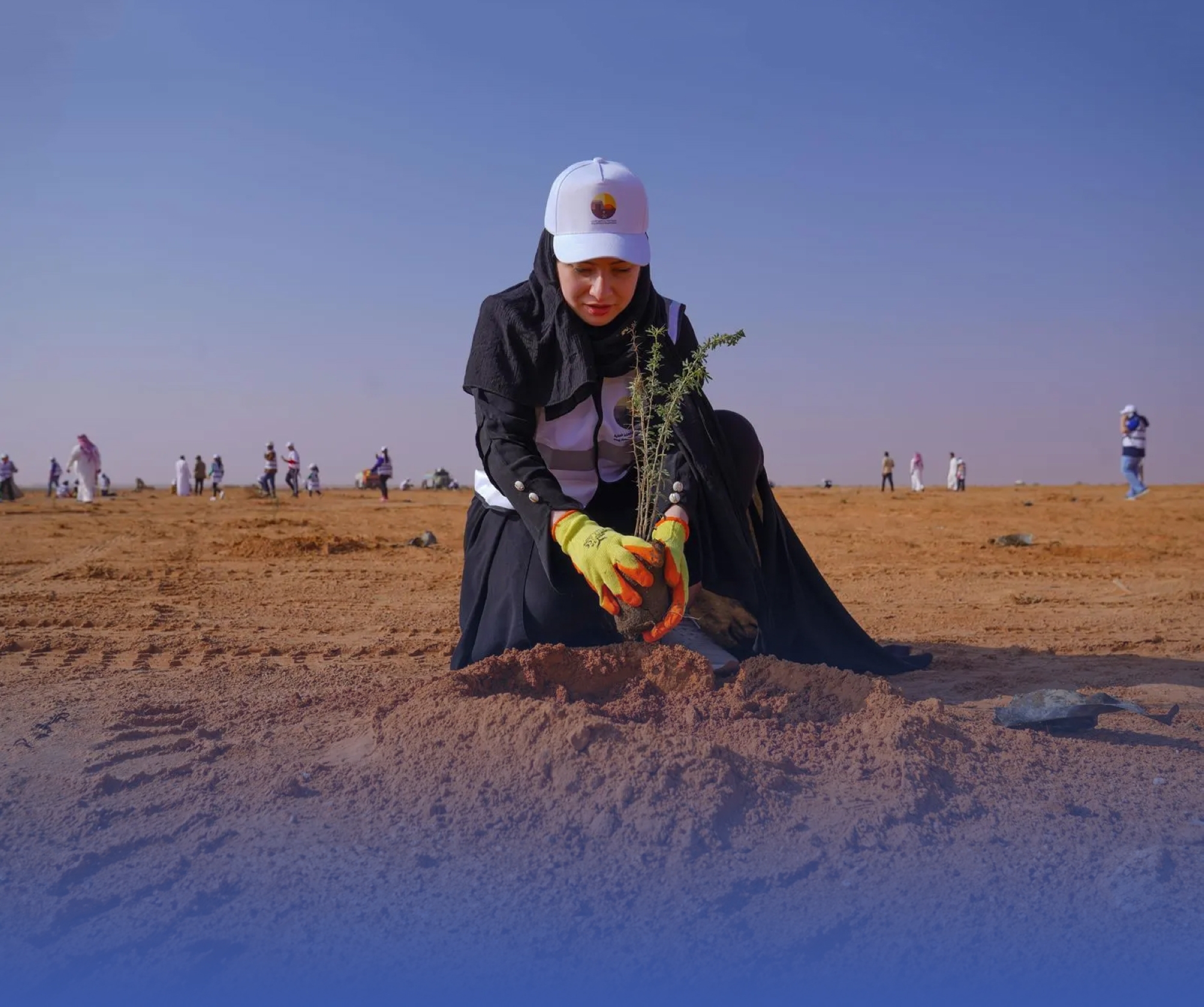 ألف شتلة بـ "روضة الخفس"