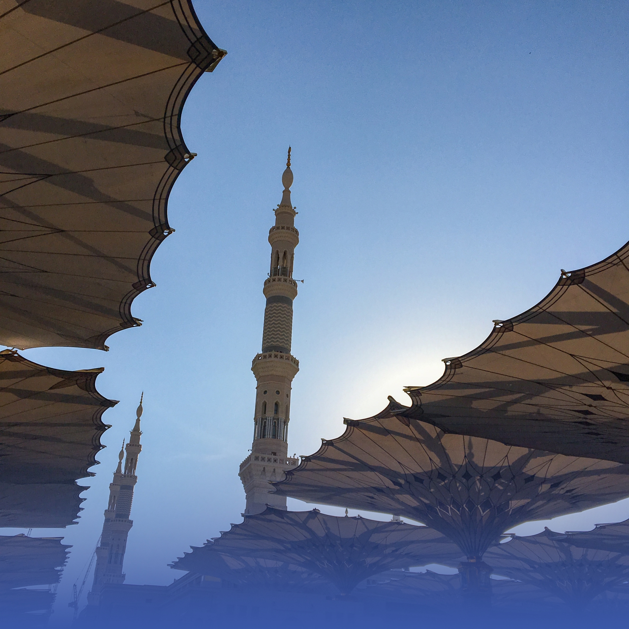 "موافقة سامية" لإقامة ندوة "إفتاء" بالمدينة