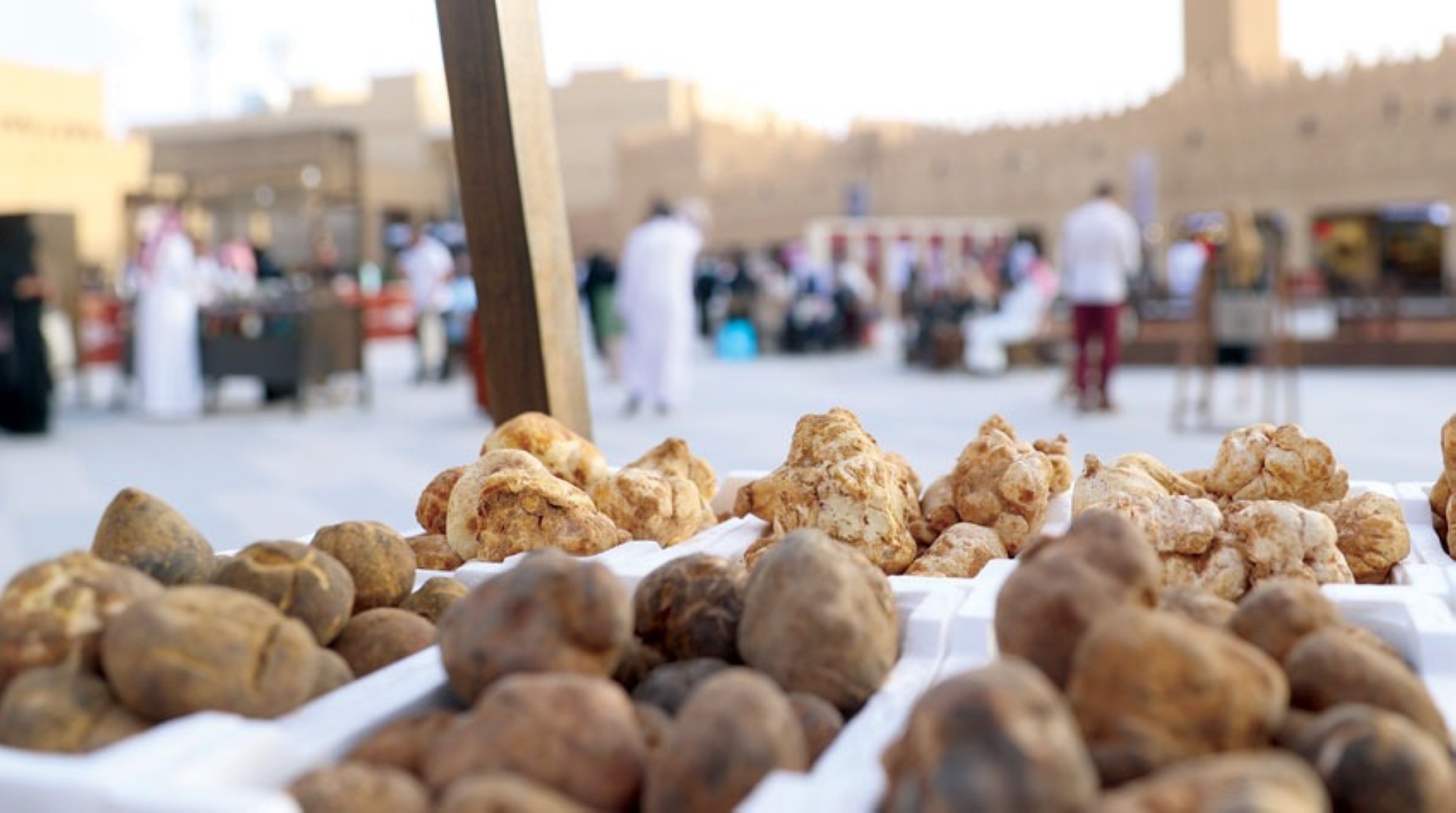"البدو" يستعدون لنبش "فستق الأرض"