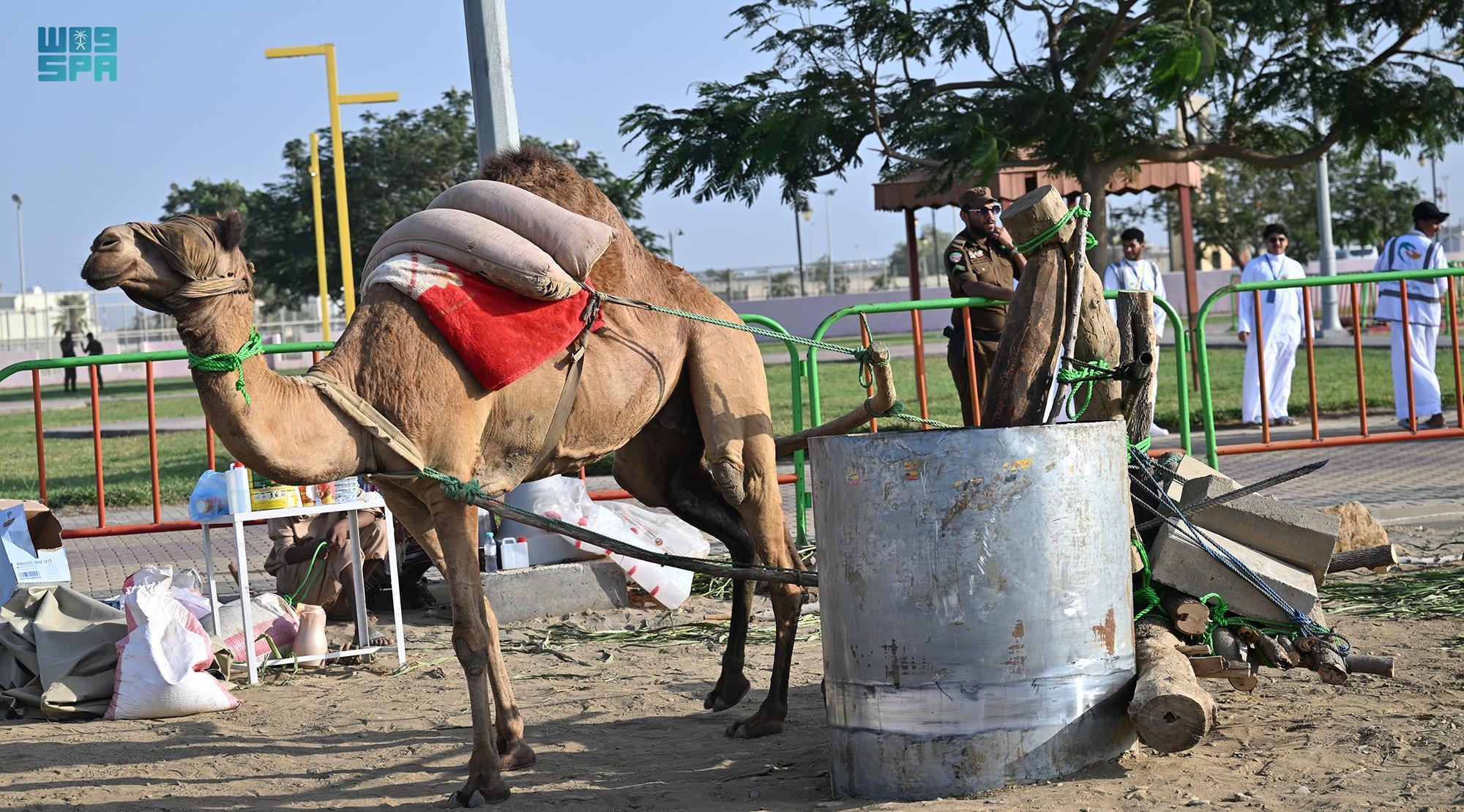 "سيدة الفُل" تستعيد الماضي بـ"سمسمها"