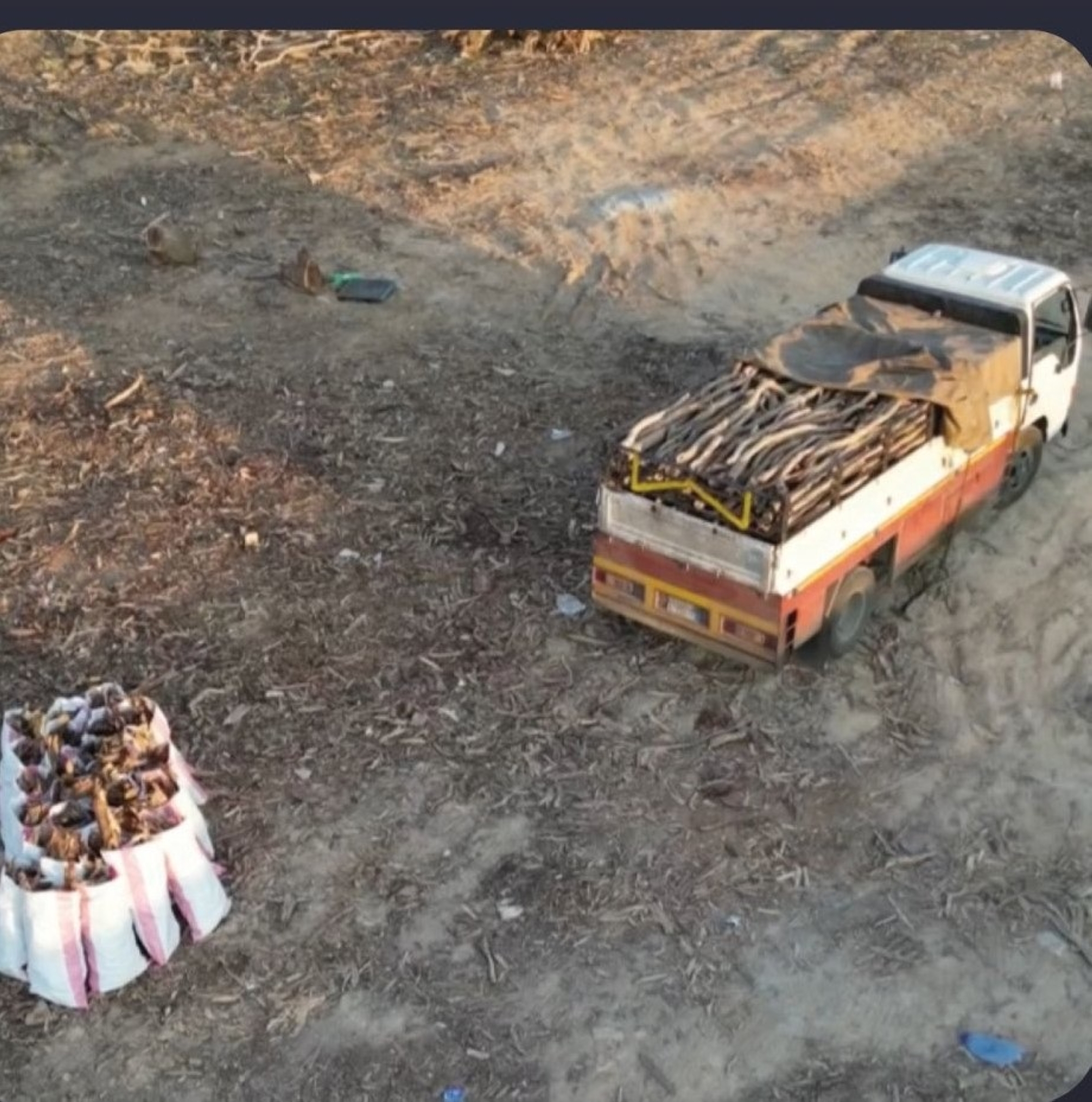 ضبط مواطن لبيعه "حطبا محليا"