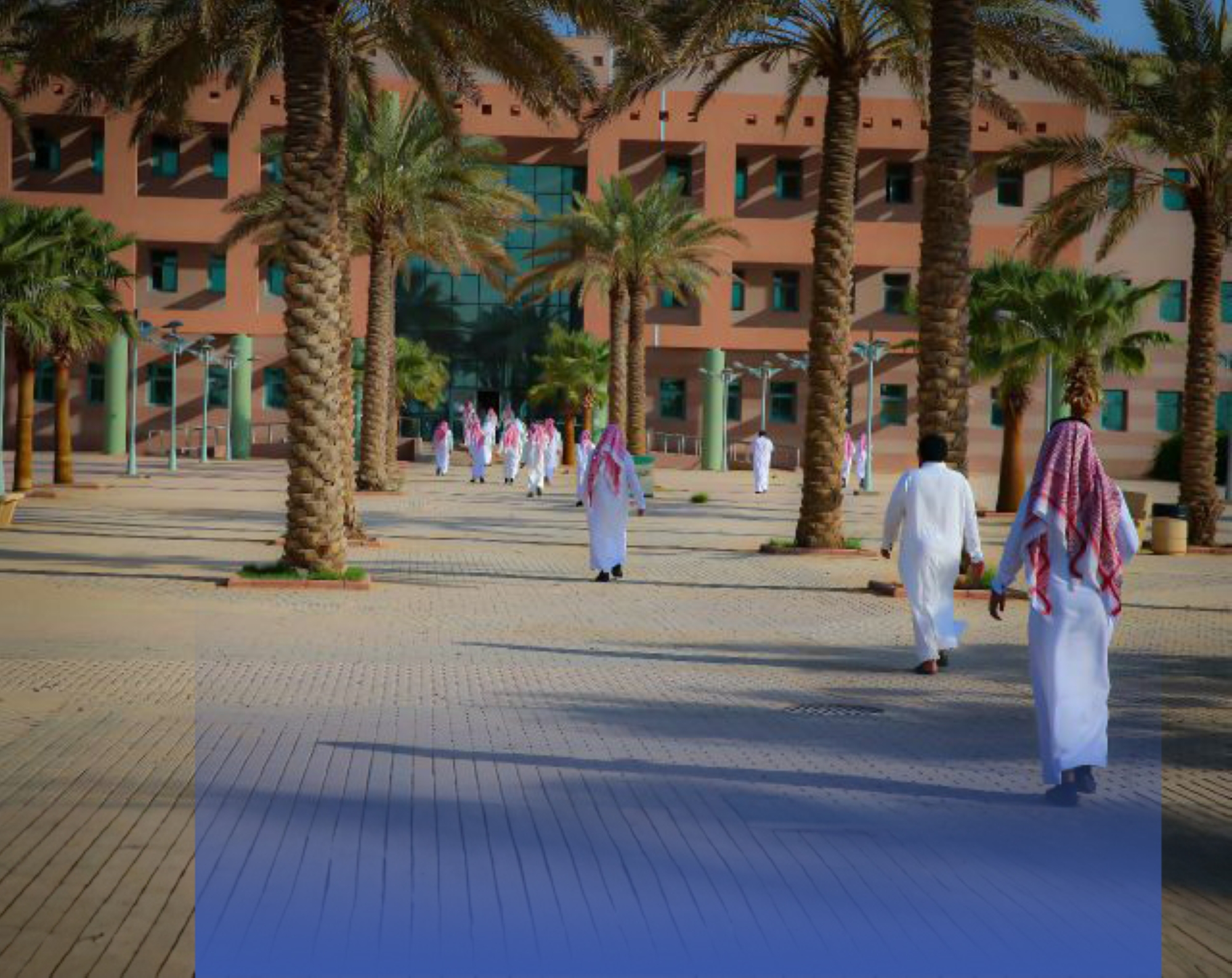 "5 تخصصات" بجامعة الجوف بتصنيف "شنغهاي"