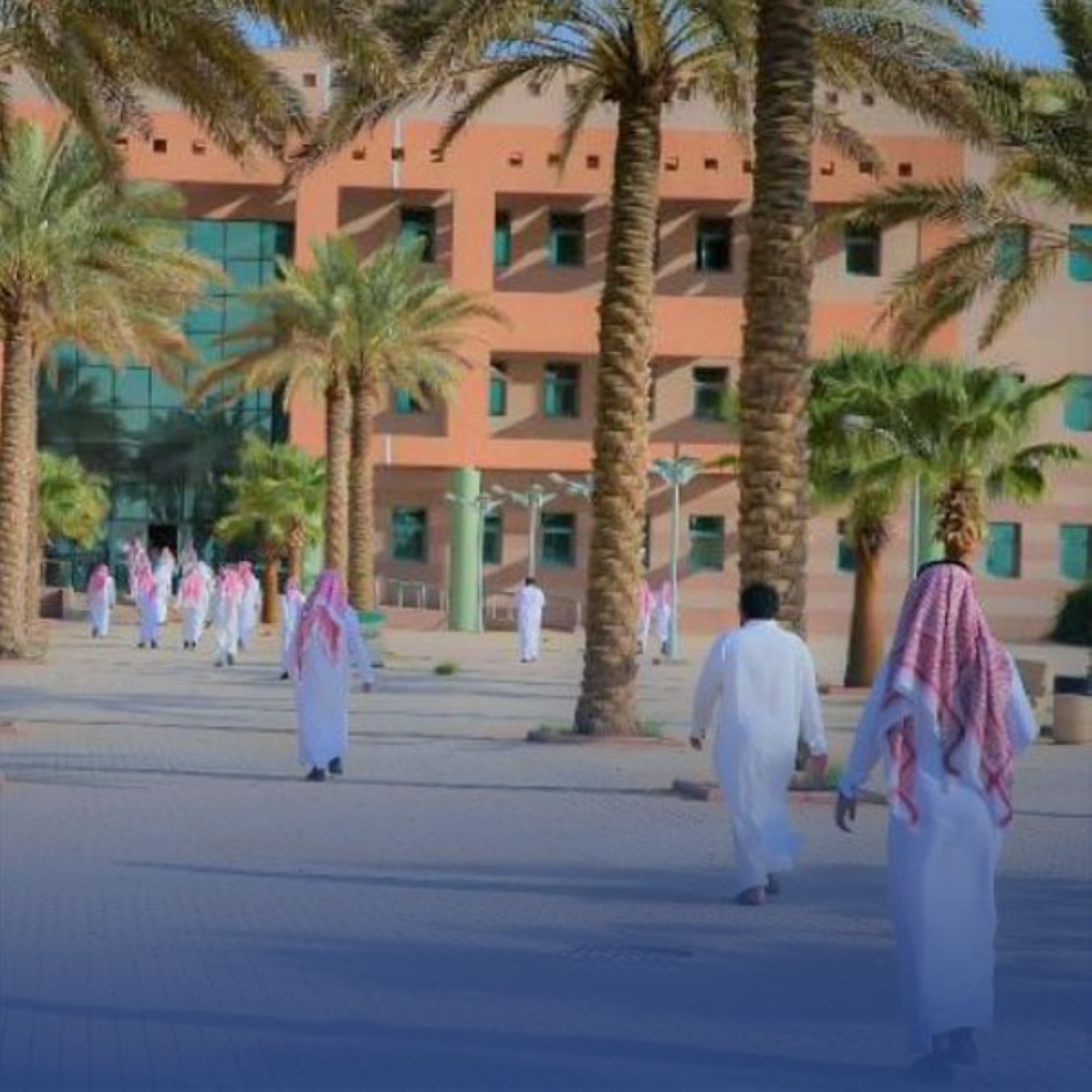"جامعة الجوف" تتألق في التصنيفات "العالمية"