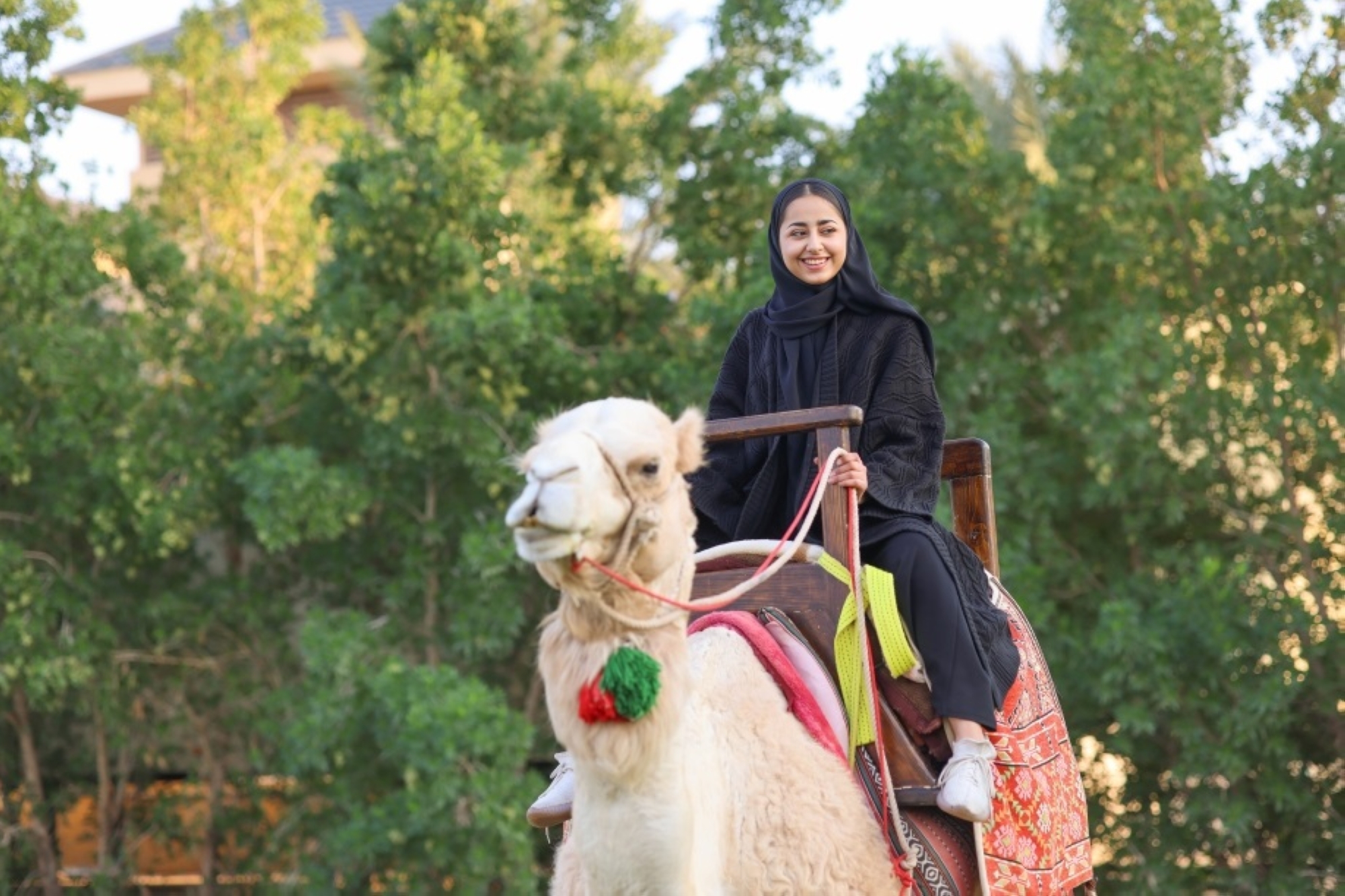 "باقة الإجازة" لزوار موسم الرياض