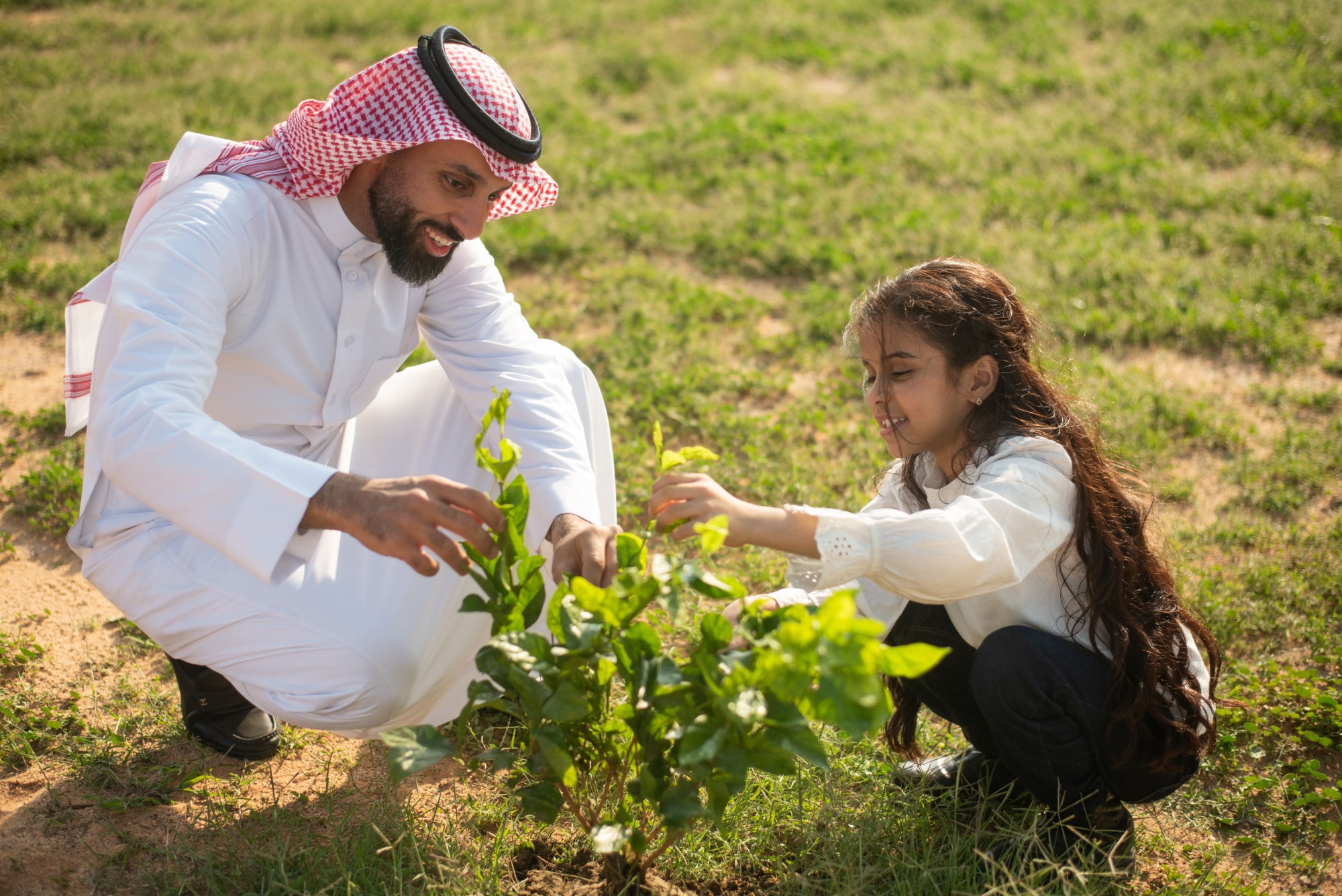 "أنظمة ري" حديثة لمياه مستدامة