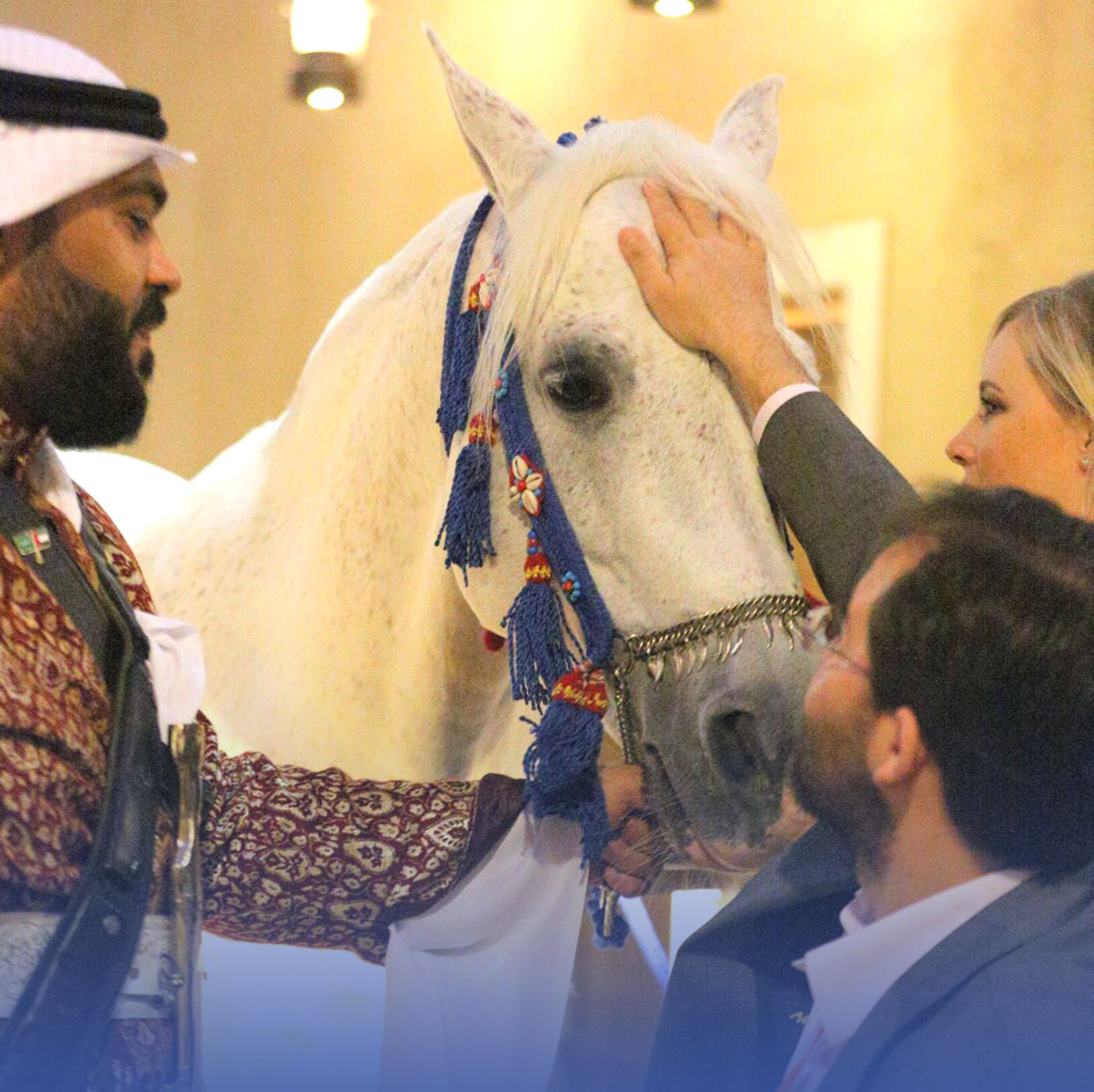 مكانة خالدة لـ"الخيل العربي" بالتراث السعودي