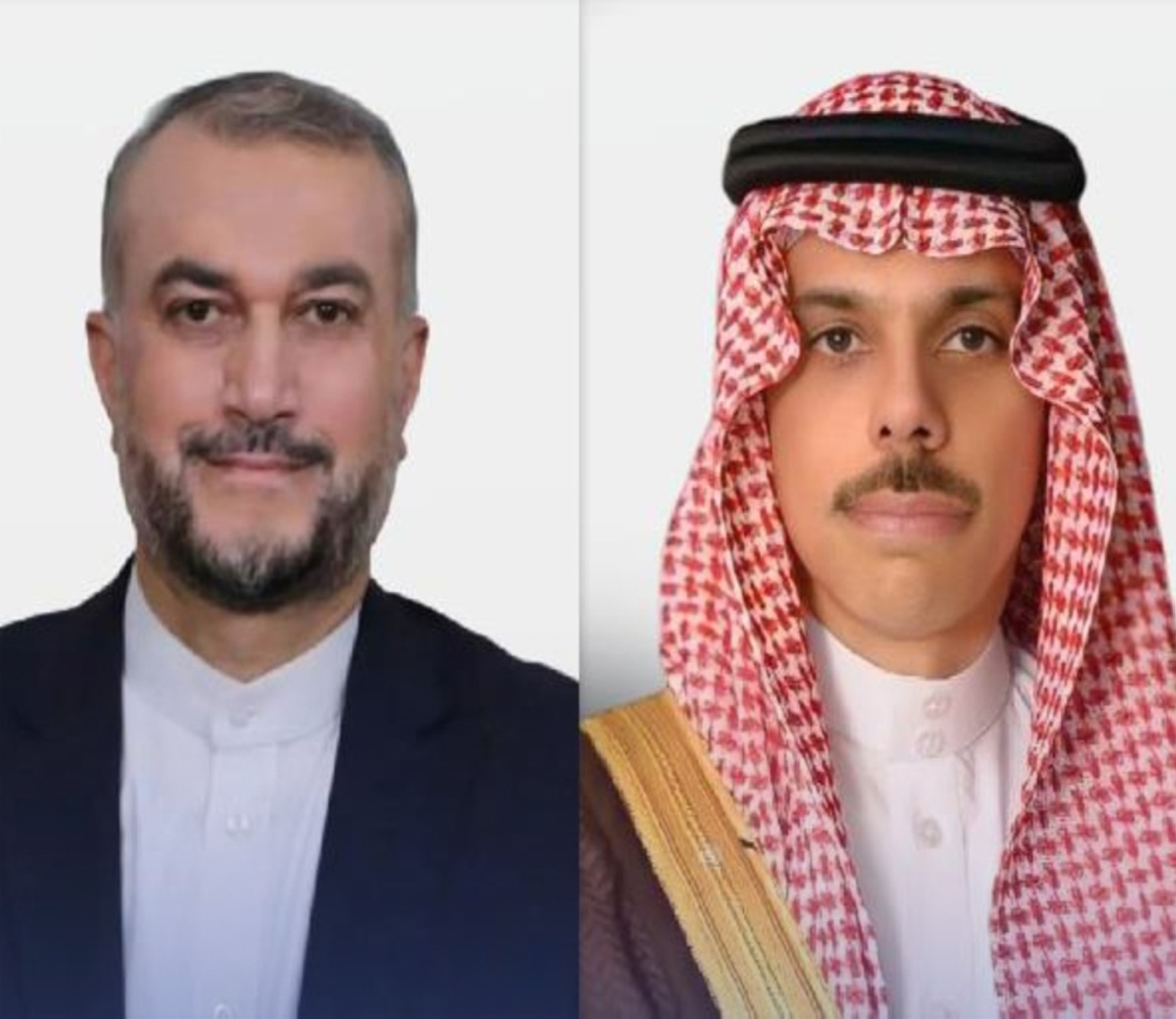 وزير الخارجية و"عبداللهيان" يبحثان "تطوير العلاقات"