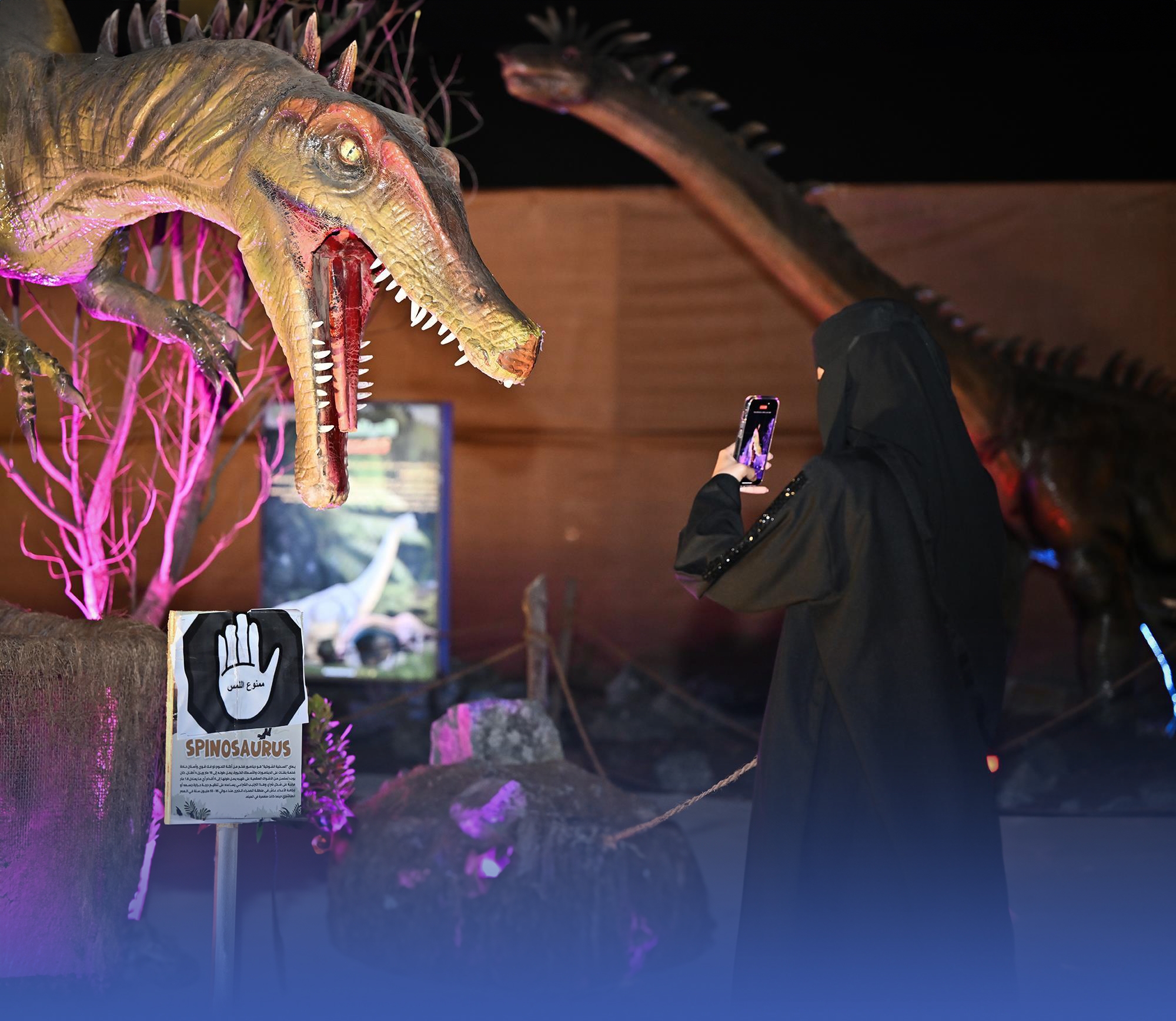 "65 ألف" زائر لمهرجان "شتاء جازان"