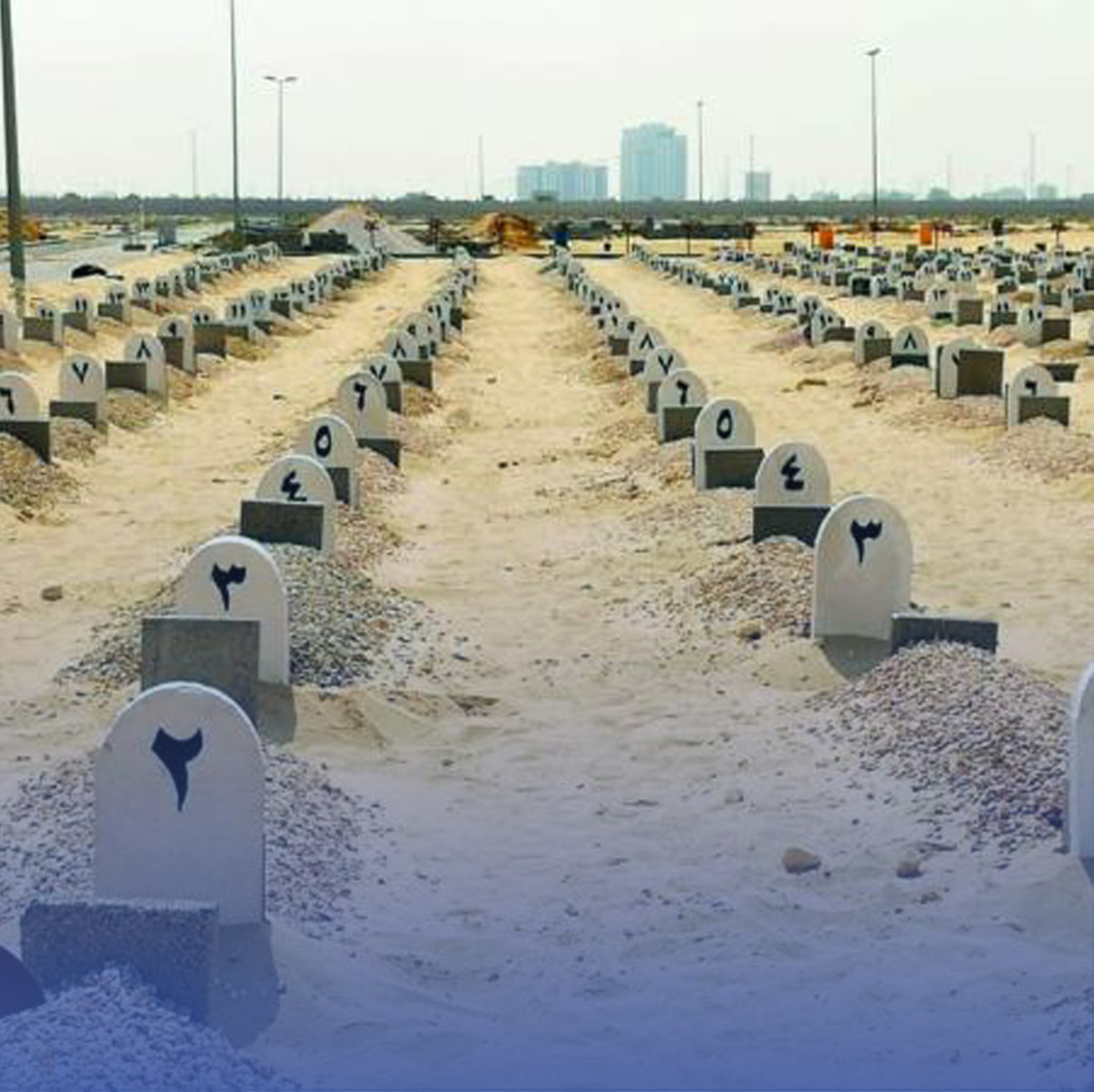 منع تبليط "المقابر" وطلائها والكتابة عليها وتشجيرها
