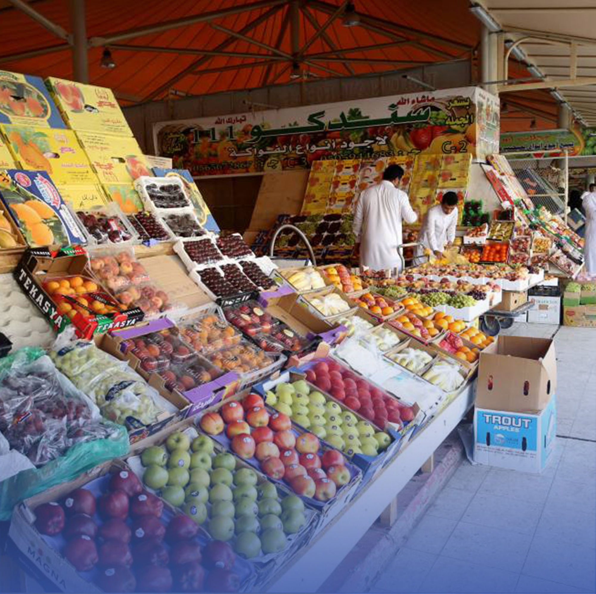 "مشروع" لدراسة أسواق النفع العام والمسالخ